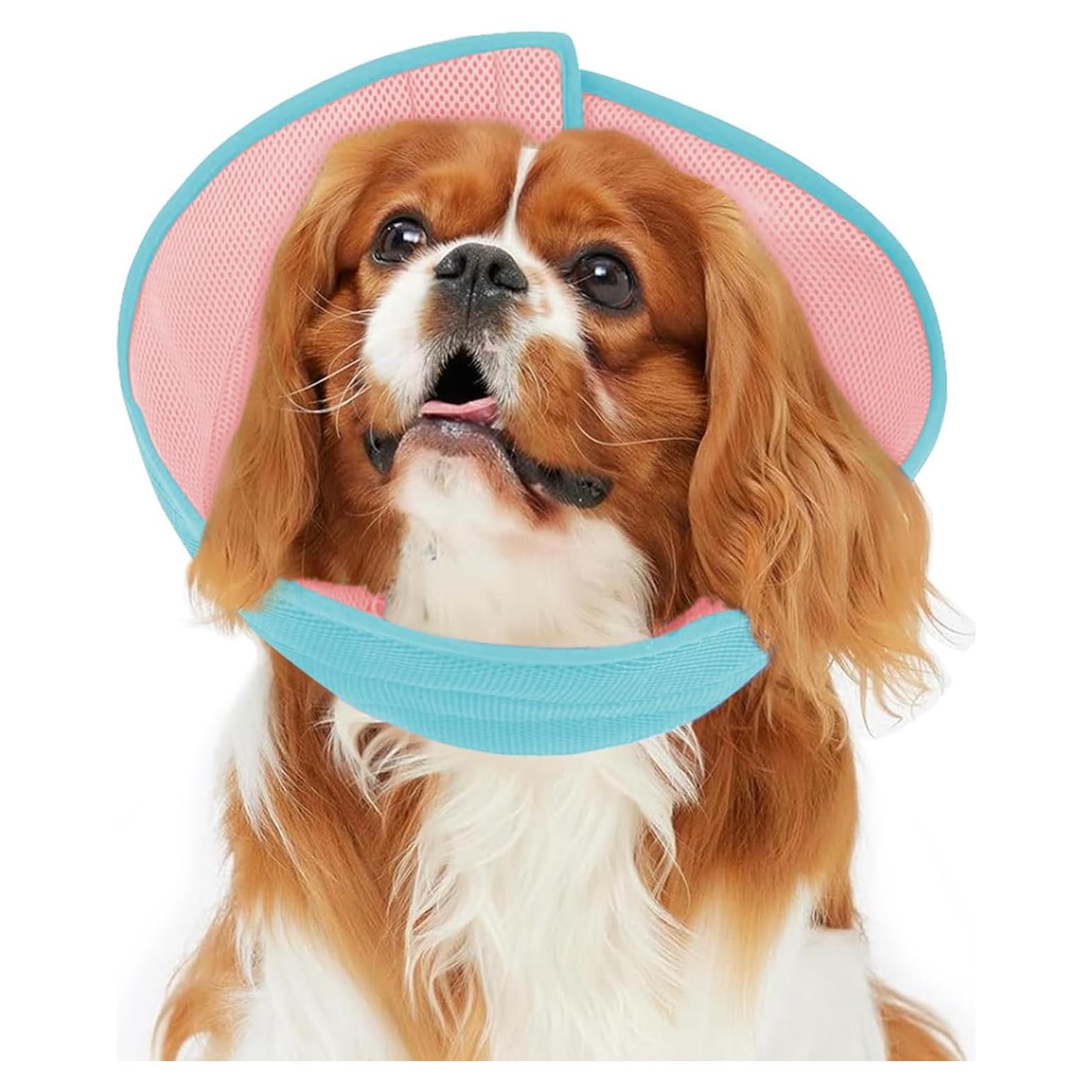 Collar Cono Suave para Perros Pequeños Inspack - Ecollar Postoperatorio
