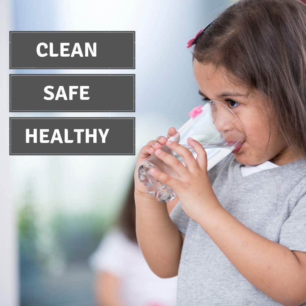 Filtro de Agua Max Strength Pro para Jarras Brita y Mavea, 6 Unidades