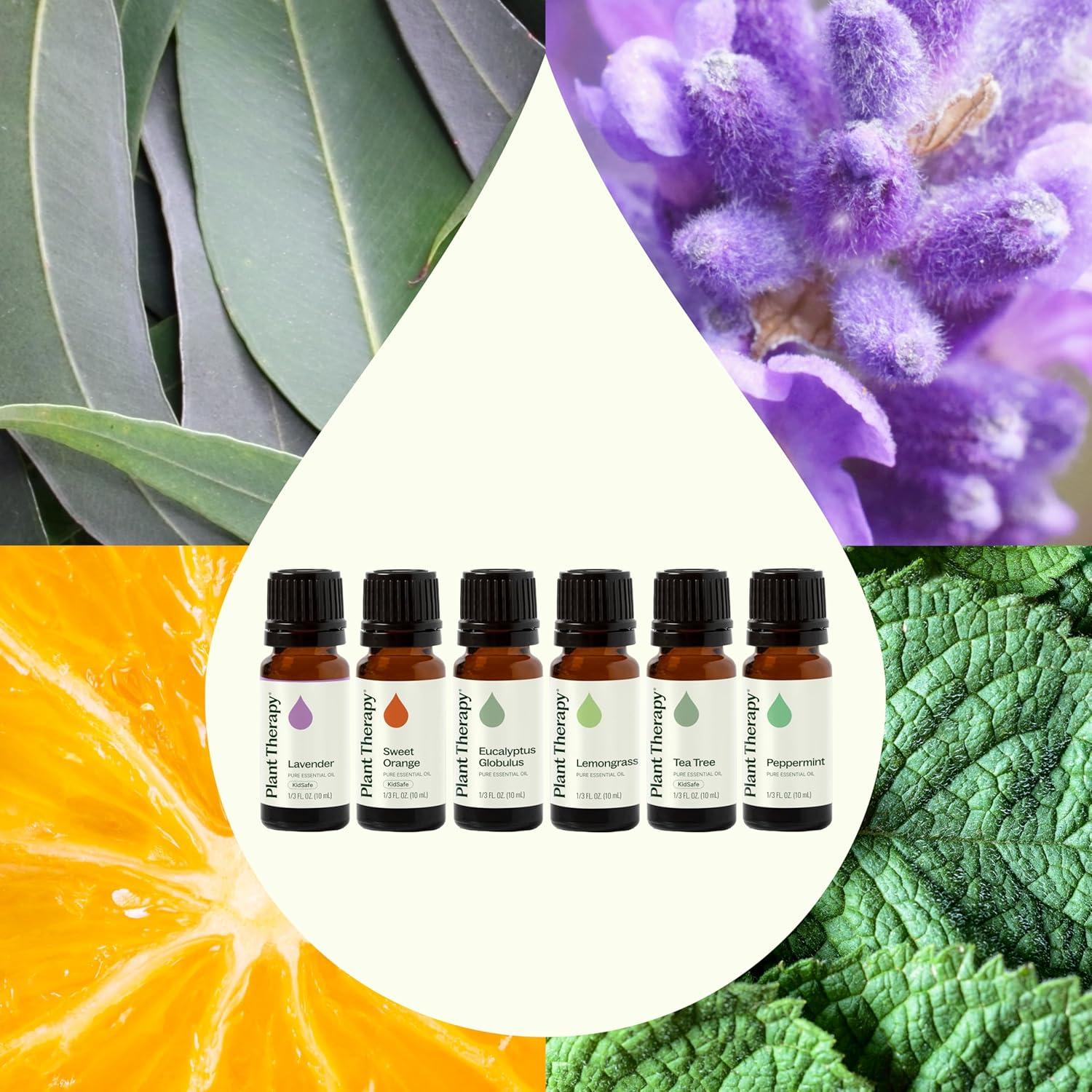 Set de Aceites Esenciales Plant Therapy Breathe Easy 10 mL