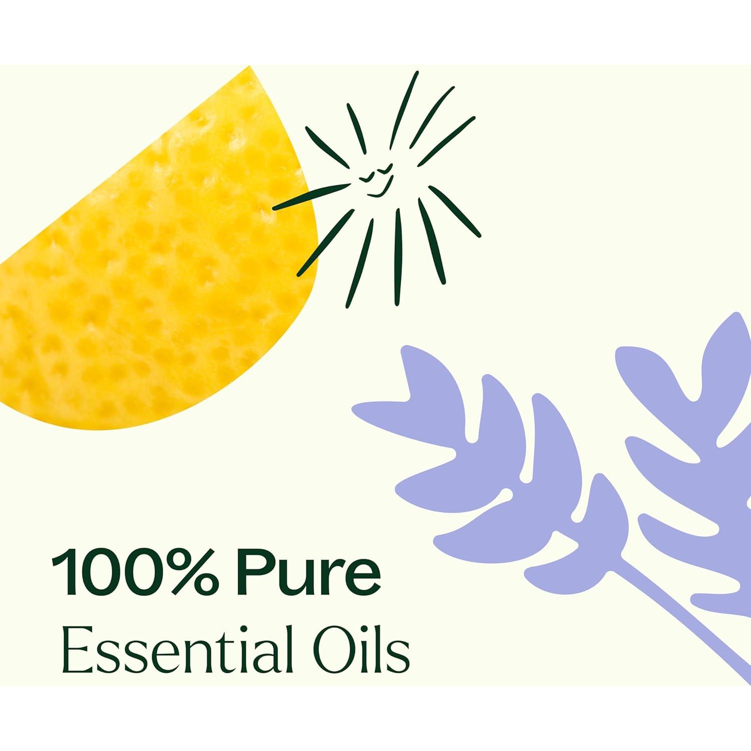 Set de Aceites Esenciales Plant Therapy Breathe Easy 10 mL