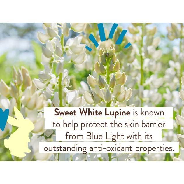 Protector Solar Mineral Diario Babo Botanicals SPF50 - Sin Fragancia - Para la Cara