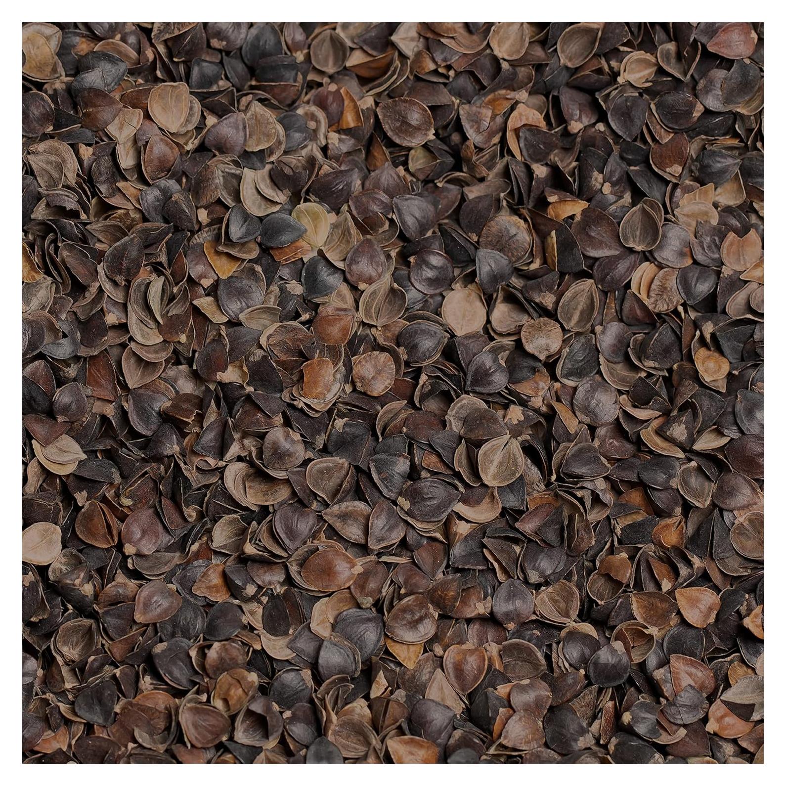 Relleno de Cáscaras de Trigo Sarraceno Orgánico Bean Products 2.27 kg