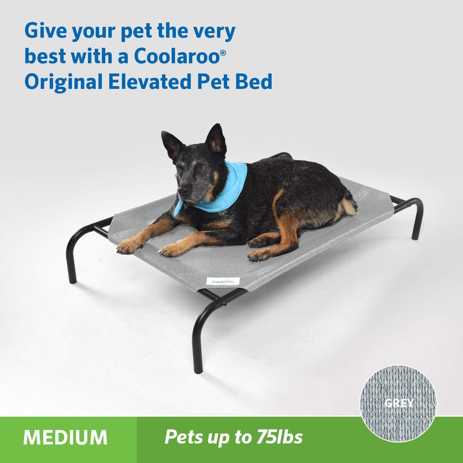 Cama Elevada para Perros Coolaroo Mediana Gris - Transpirable y Resistente a la Humedad