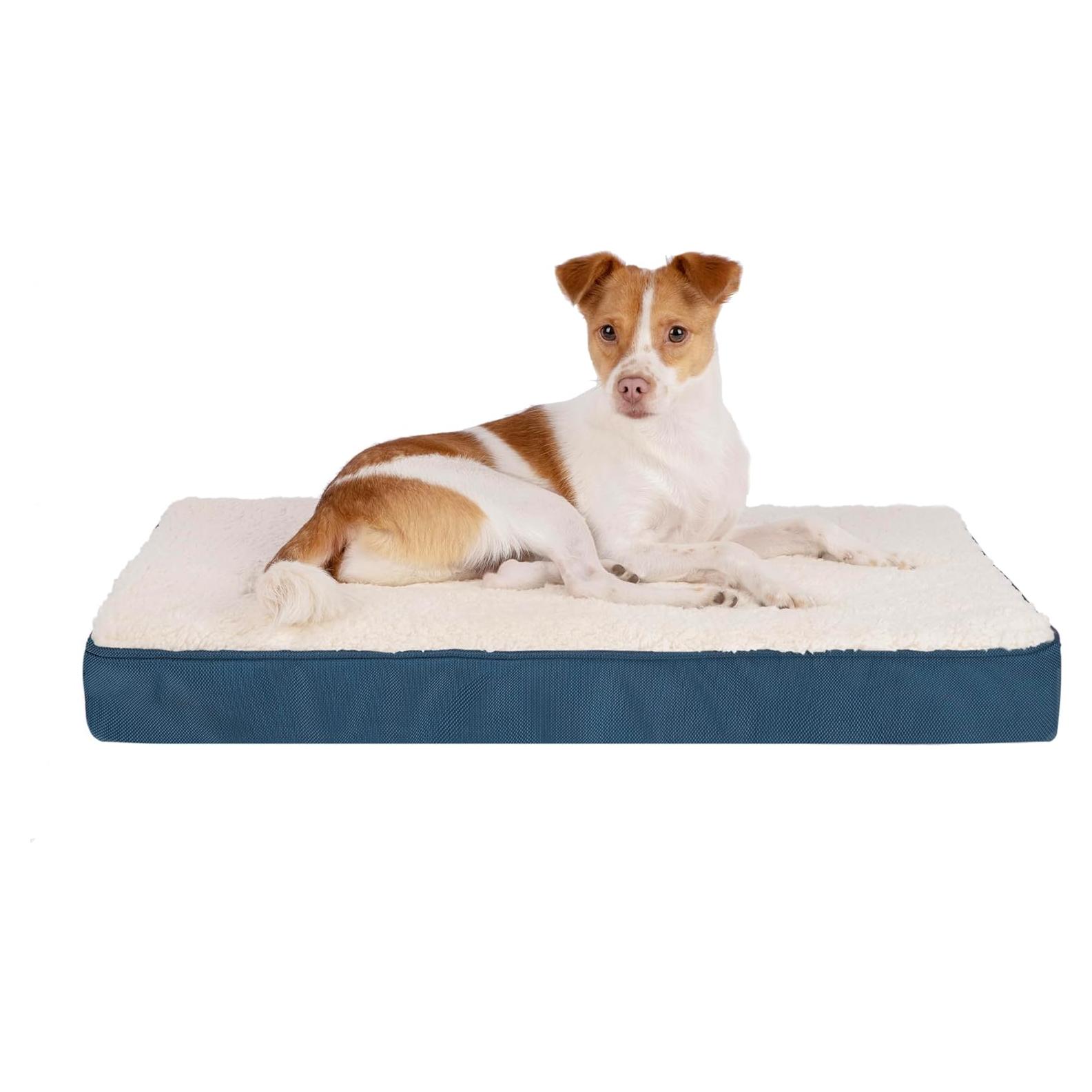Cama para Perros Mejor Suministros - Almohadilla Ortopédica 61x41cm