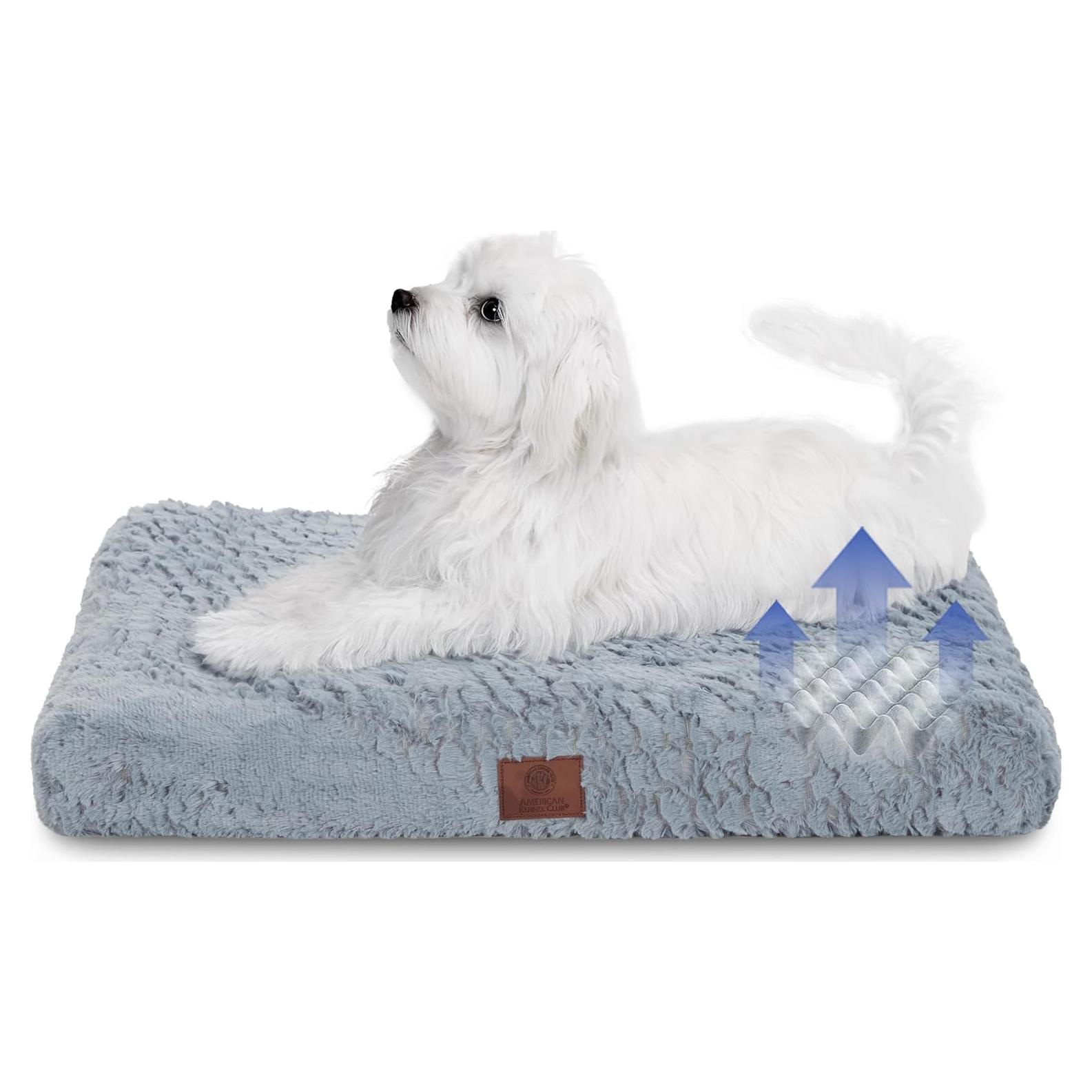 Mata Ortopédica de Espuma Memoria American Kennel Club 61x48 cm