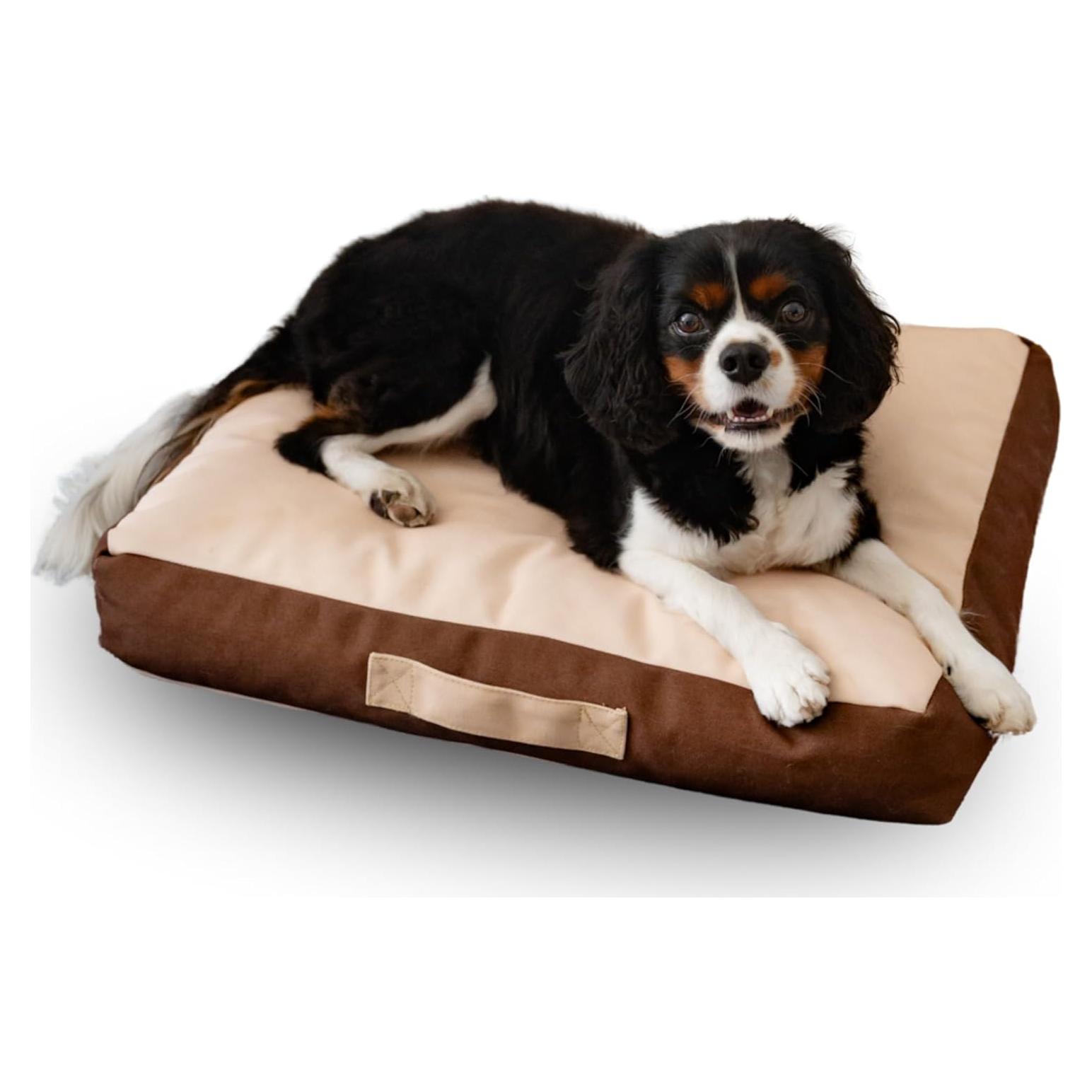 Cama Ortopédica para Perros Rawry Pequeña 60 x 46 cm Espuma Viscoelástica