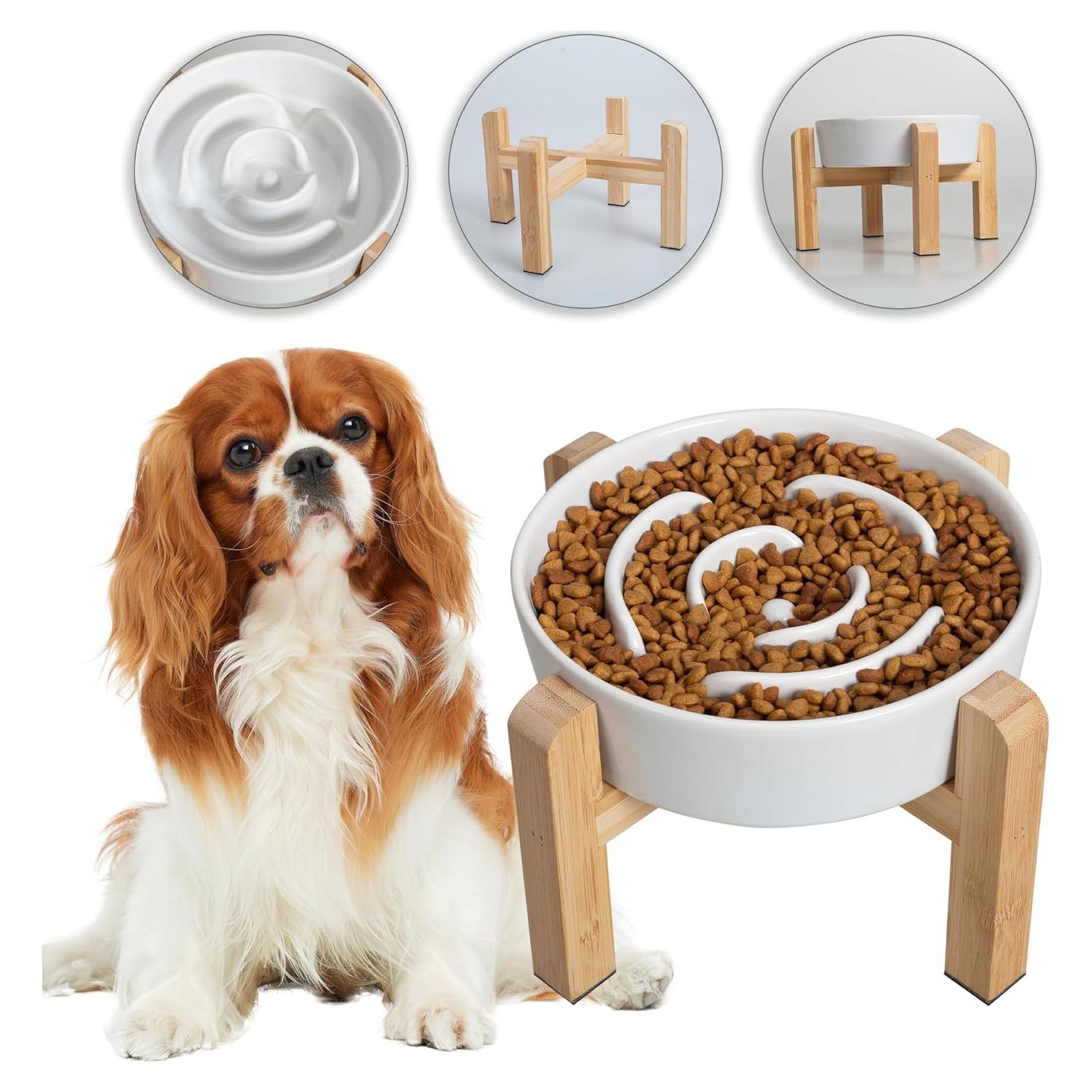 Tazón Elevado para Perros PTOBER - Cerámica 17 cm Antideslizante