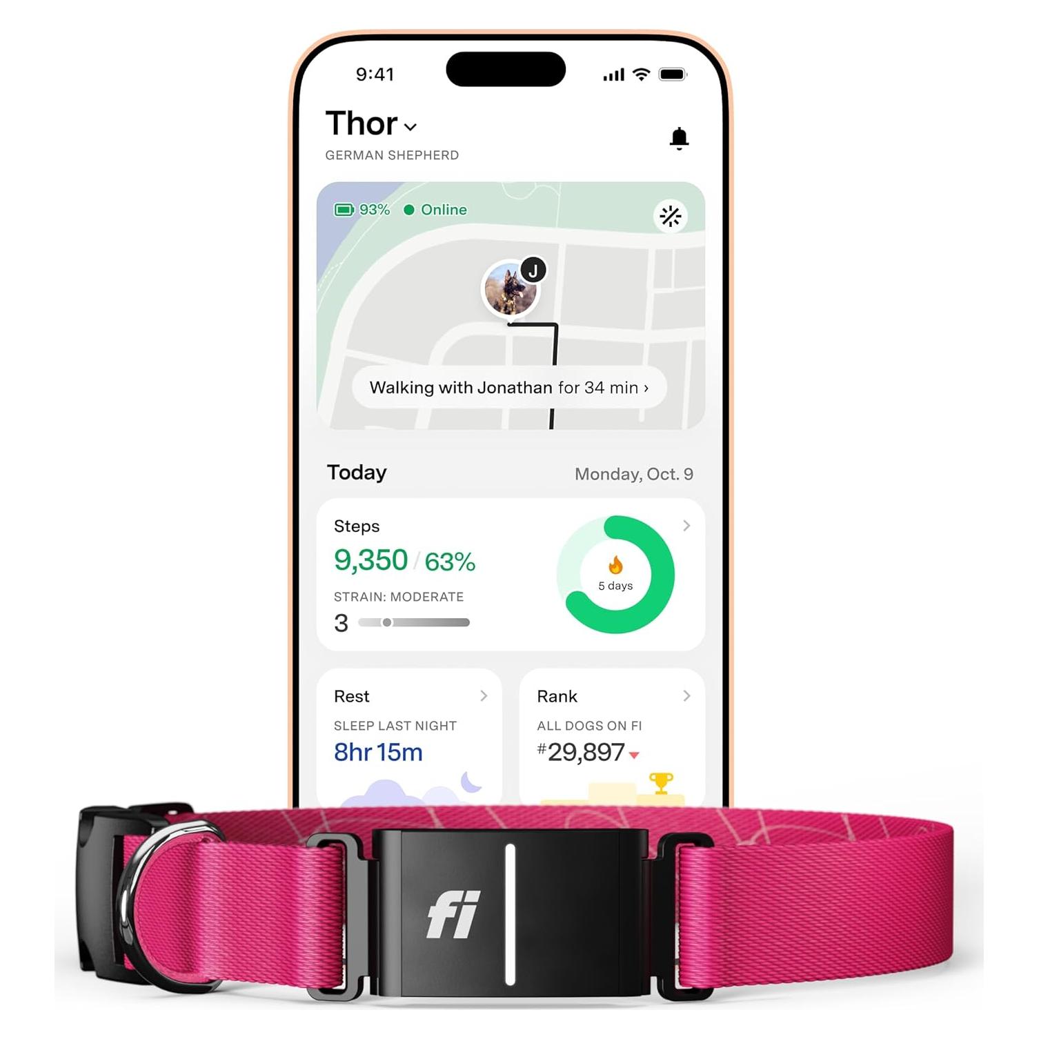 Collar Inteligente para Perros Fi Serie 3+ - GPS, Salud y Alertas