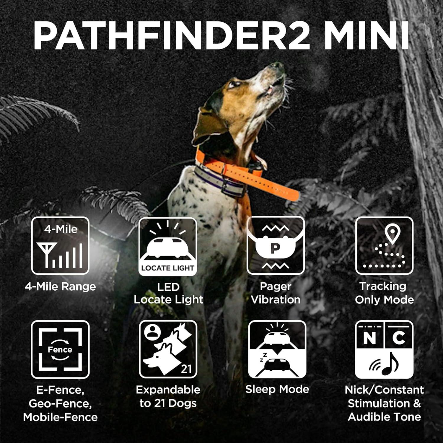 Receptor GPS Dogtra PATHFINDER2 MINI para Perros con Luz LED