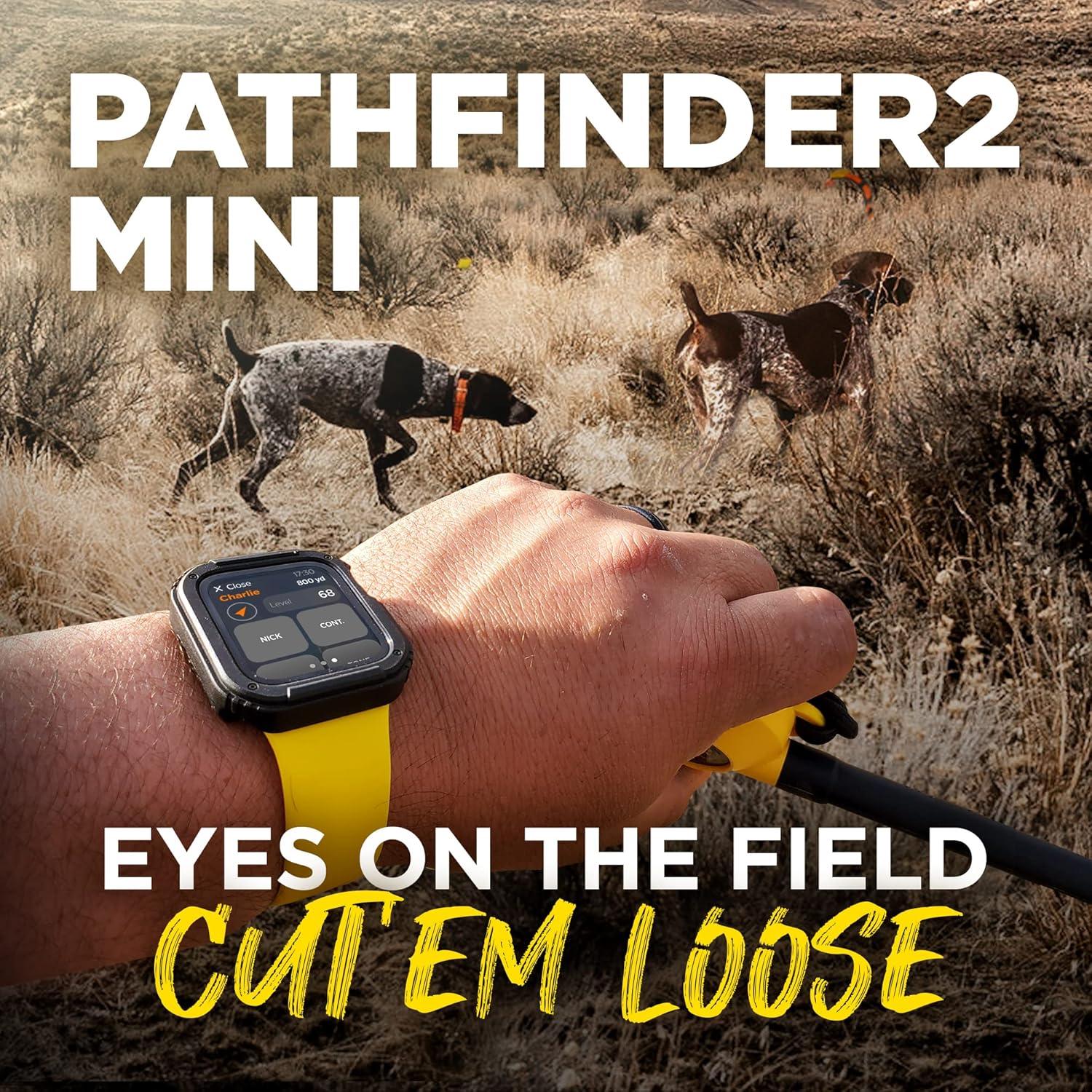 Receptor GPS Dogtra PATHFINDER2 MINI para Perros con Luz LED