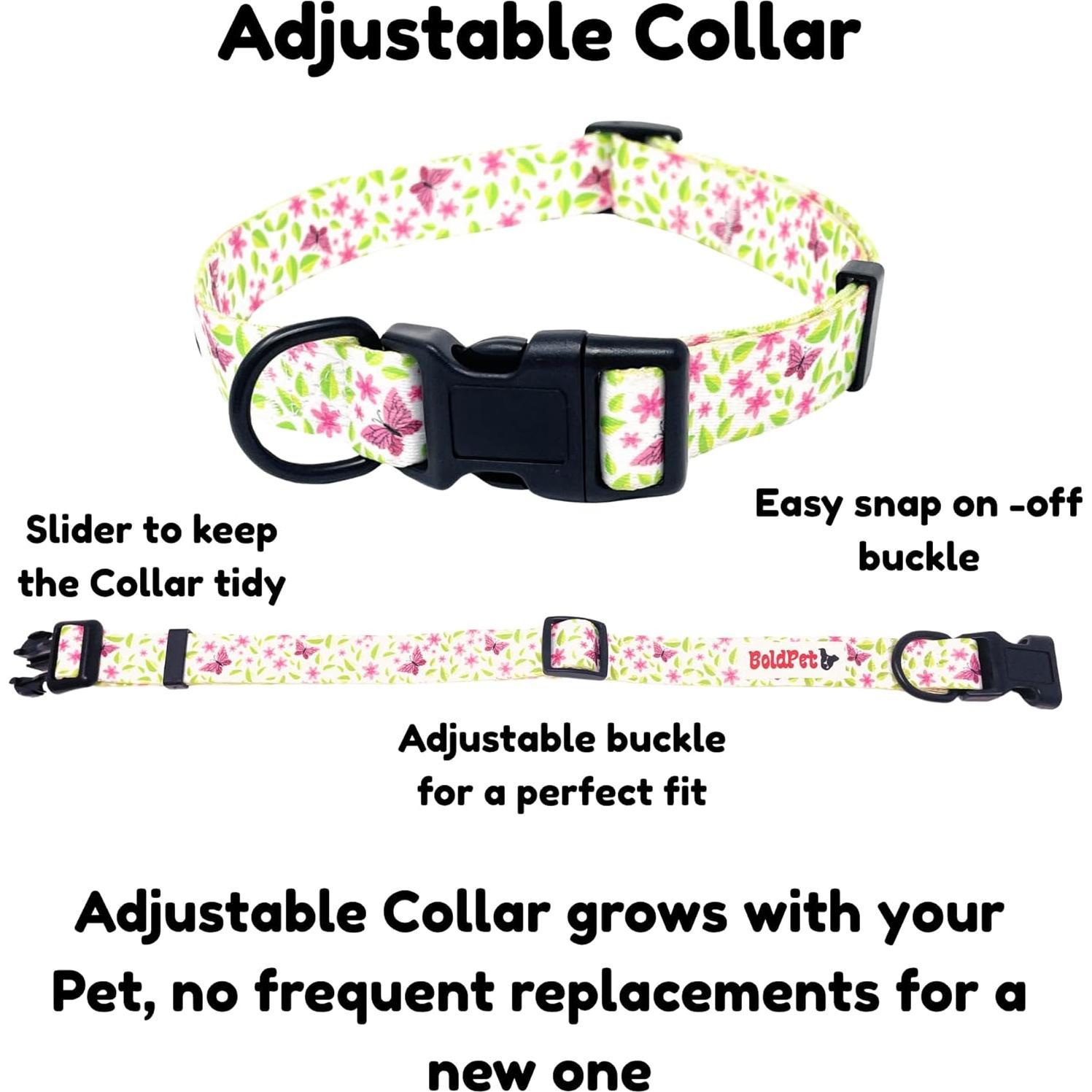 Conjunto Collar y Correa para Perros BOLDPET Floral Ajustable