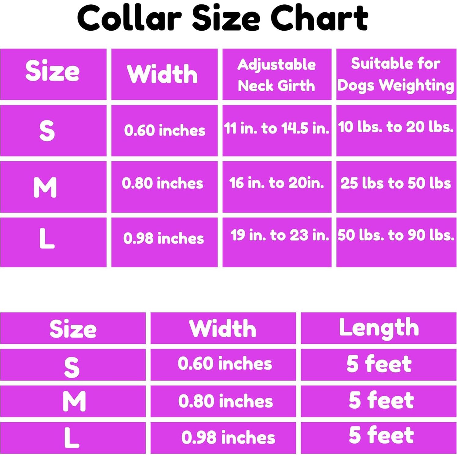 Conjunto Collar y Correa para Perros BOLDPET Floral Ajustable