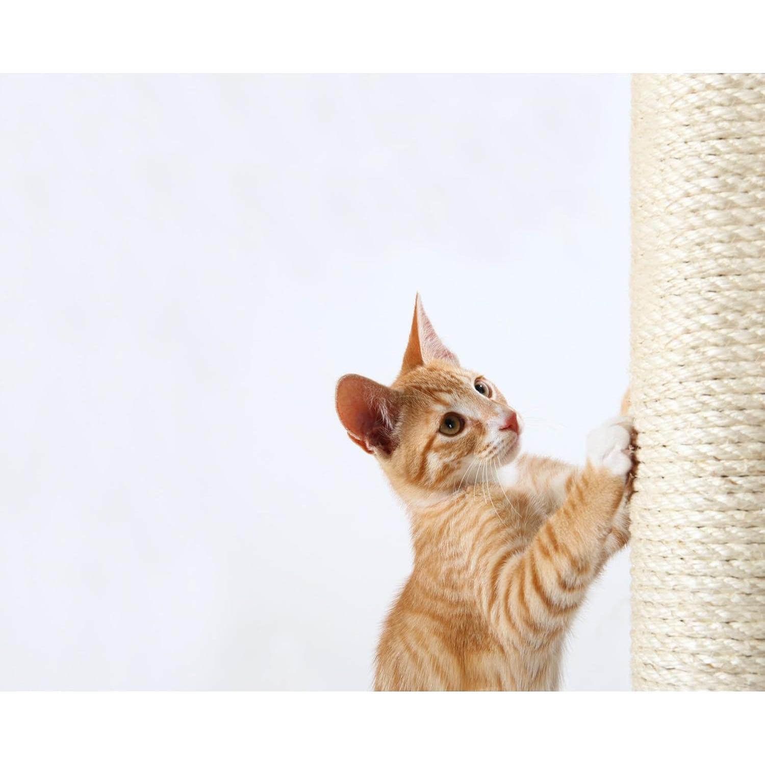 Poste de Rascado Trixie 9x30 cm para Gatos - Sisal Resistente