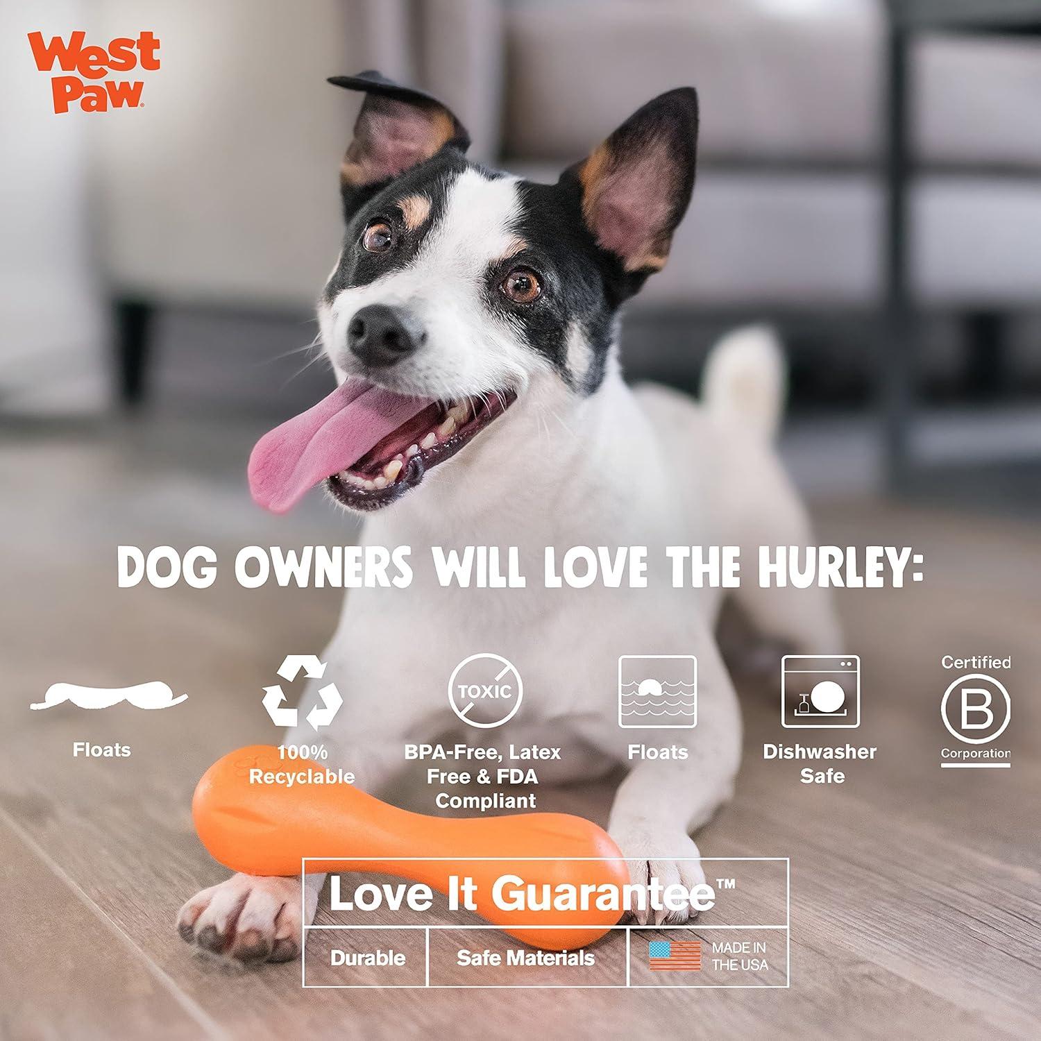 Hueso para Perros West Paw Zogoflex Hurley - Flotante Pequeño Aqua