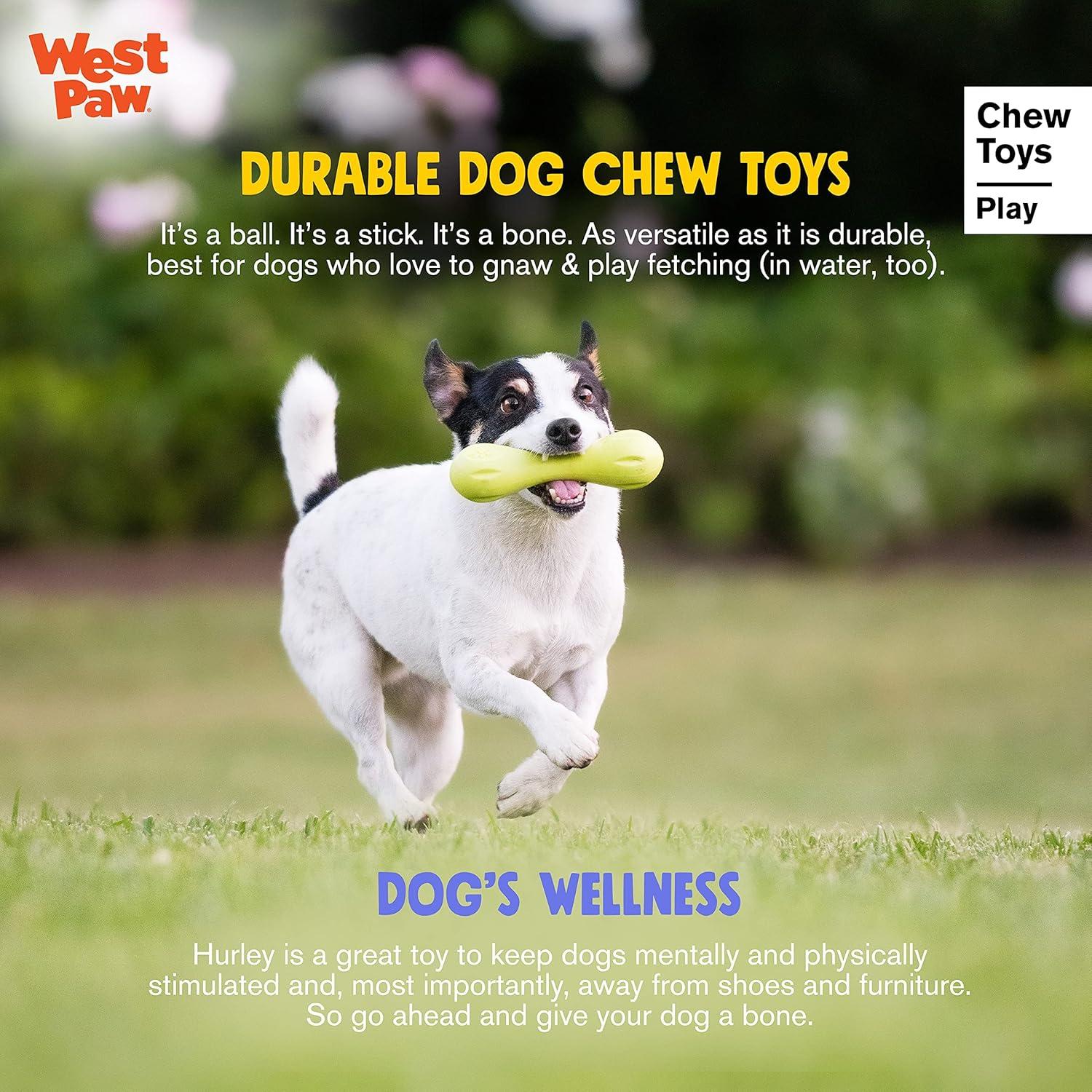 Hueso para Perros West Paw Zogoflex Hurley - Flotante Pequeño Aqua