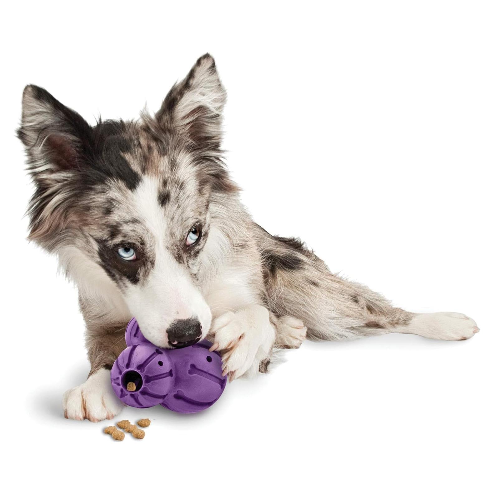 Juguete Interactivo para Perros PetSafe Busy Buddy Barnacle Mediano