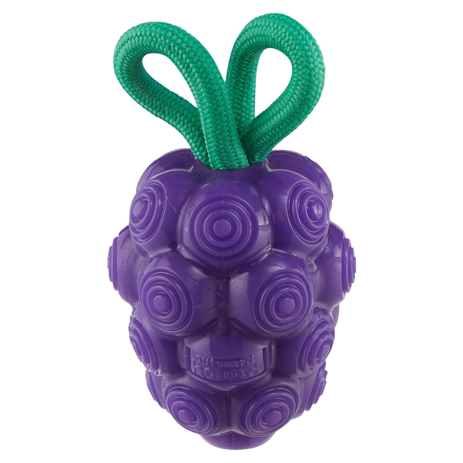 Juguete Masticable Dental Outward Hound Uvas 16cm para Perros