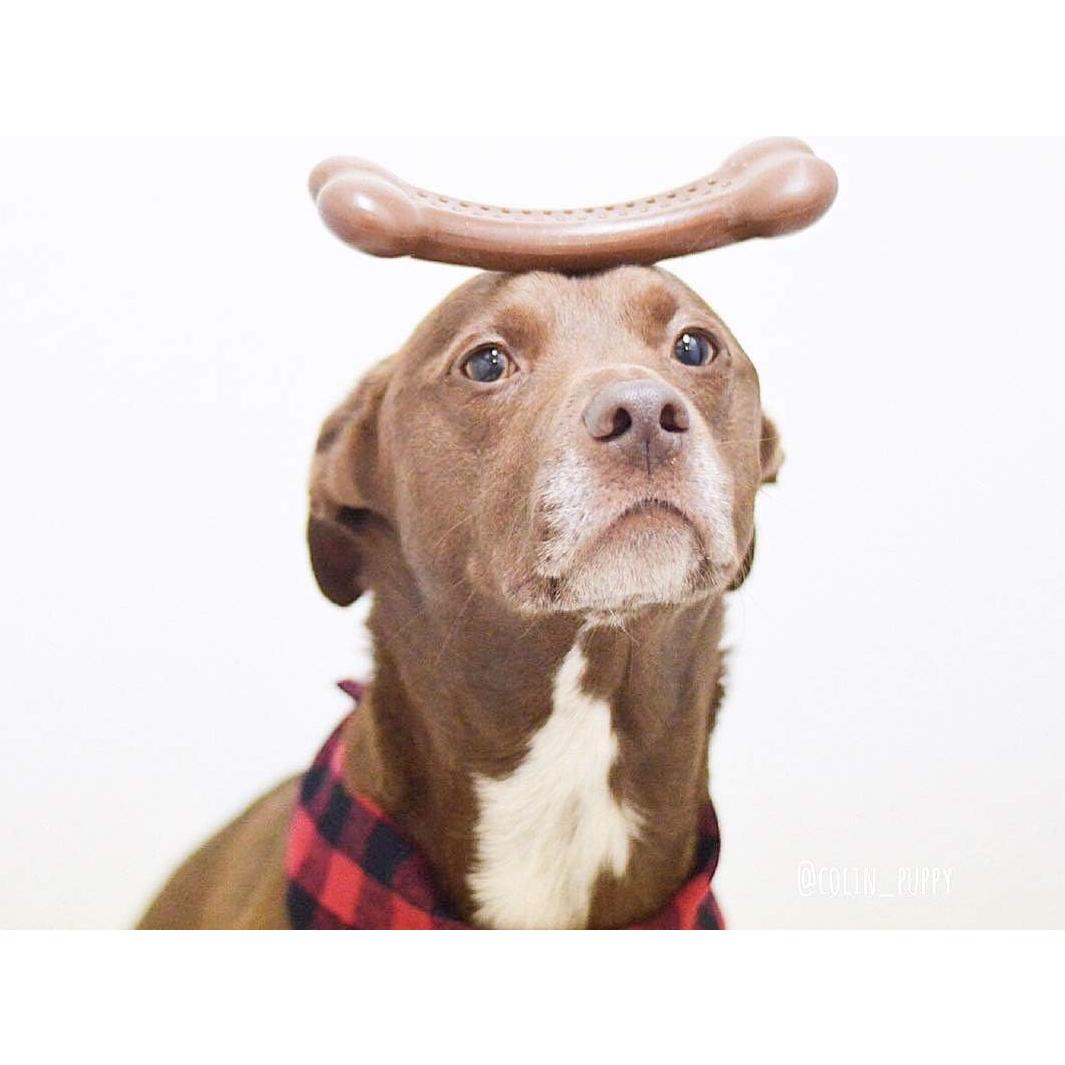 Hueso para Perros BarkBone Flavorit Mantequilla de Maní 14 cm