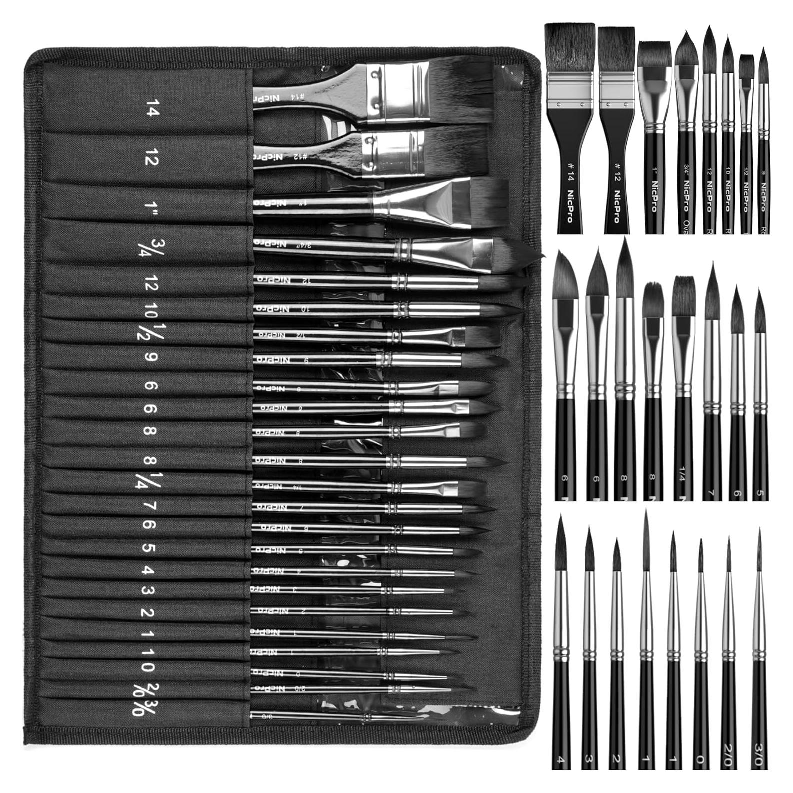 Juego de 24 Pinceles de Acuarela NICPRO con Funda de Tela
