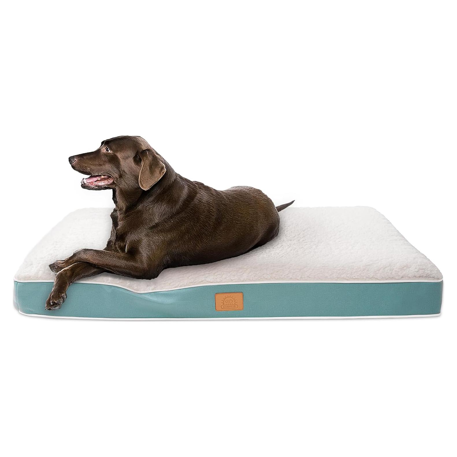 Cama ortopédica para perros pequeños Sunheir, impermeable 60x40cm