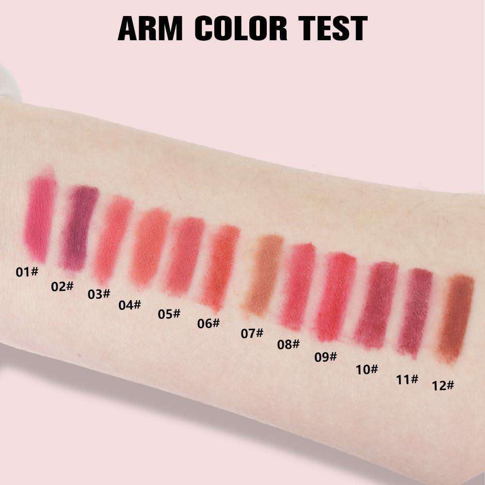 Set de 12 Lápices de Labios Mate Impermeable evpct