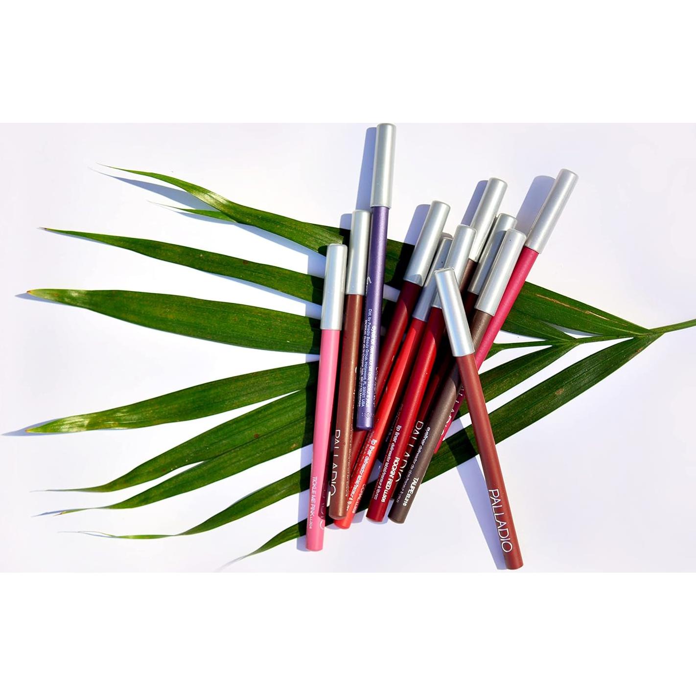 Lápiz de Contorno de Labios Palladio Especias - Hidratante y Larga Duración