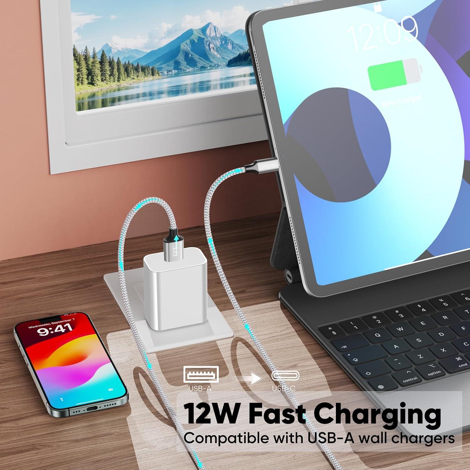 Cable USB A a USB C 20 Pies DteeDck Carga Rápida 12W