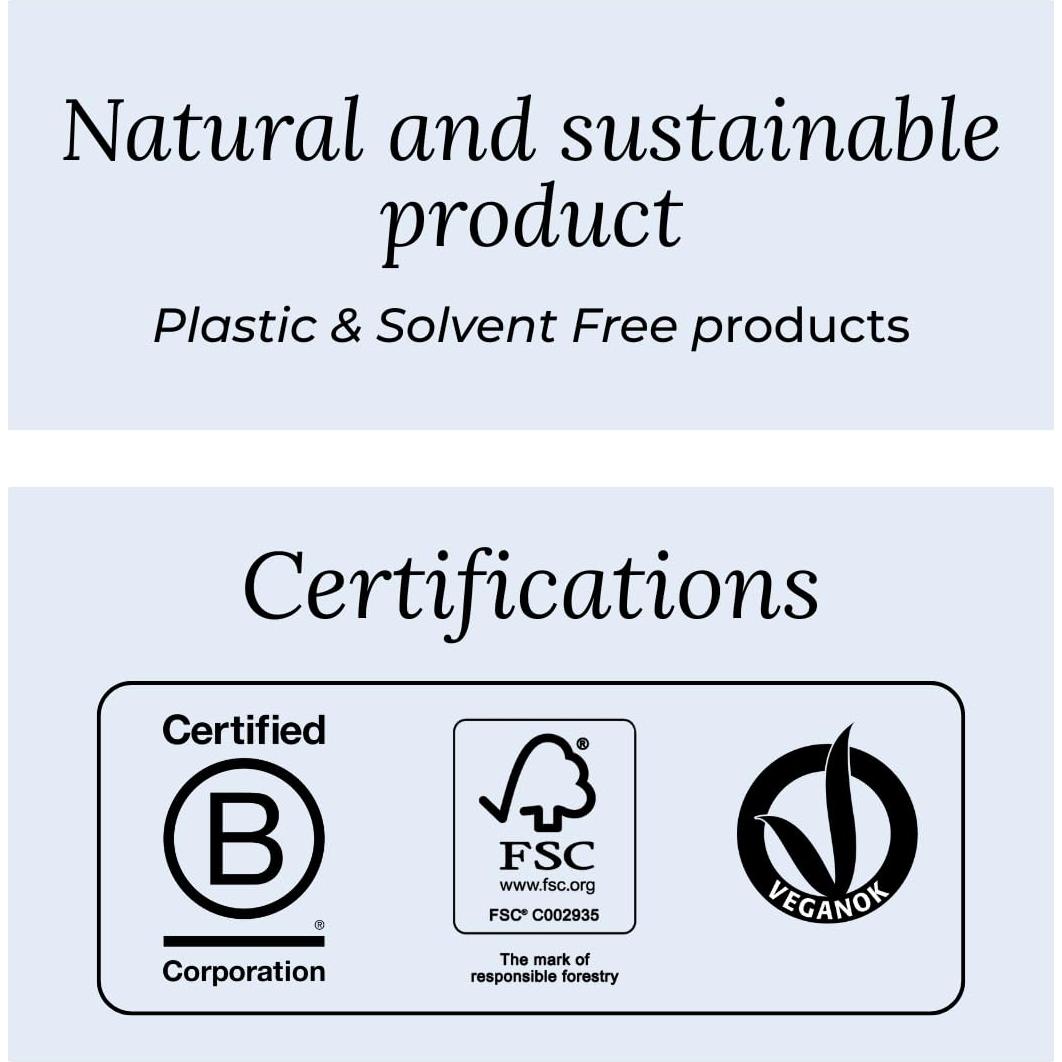 Cepillo Rectangular Mediano TEK de Madera de Fresno 22x5.5cm