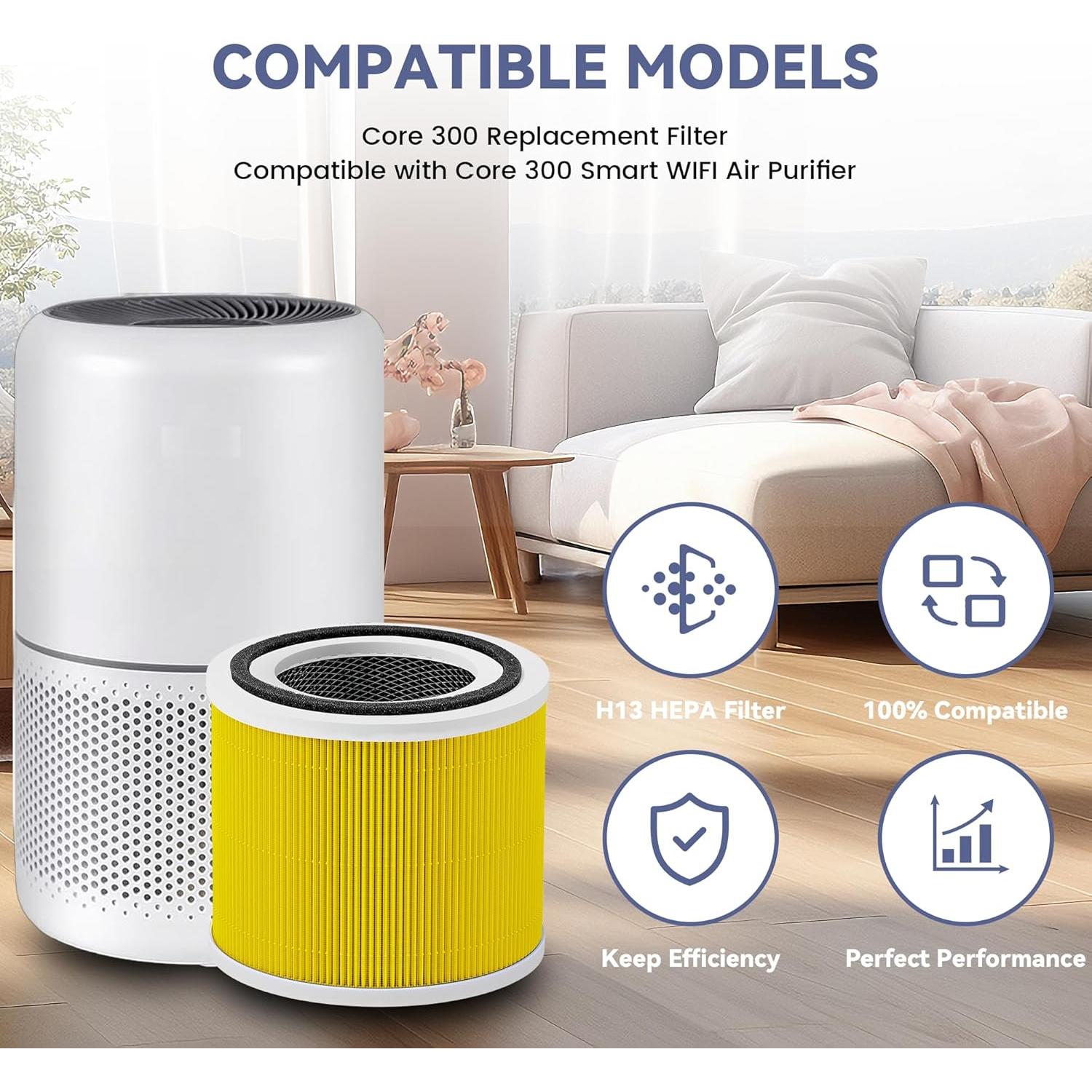 Paquete de 2 Filtros de Reemplazo XTPOINT Core 300 H13