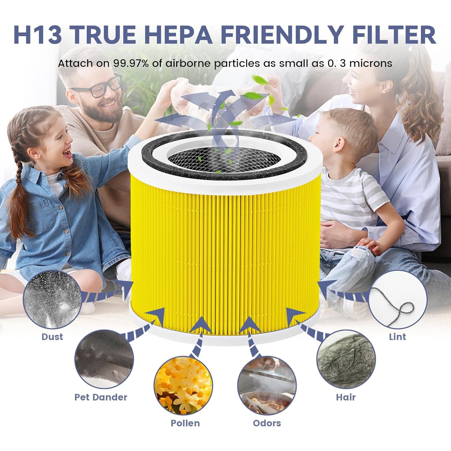 Paquete de 2 Filtros de Reemplazo XTPOINT Core 300 H13