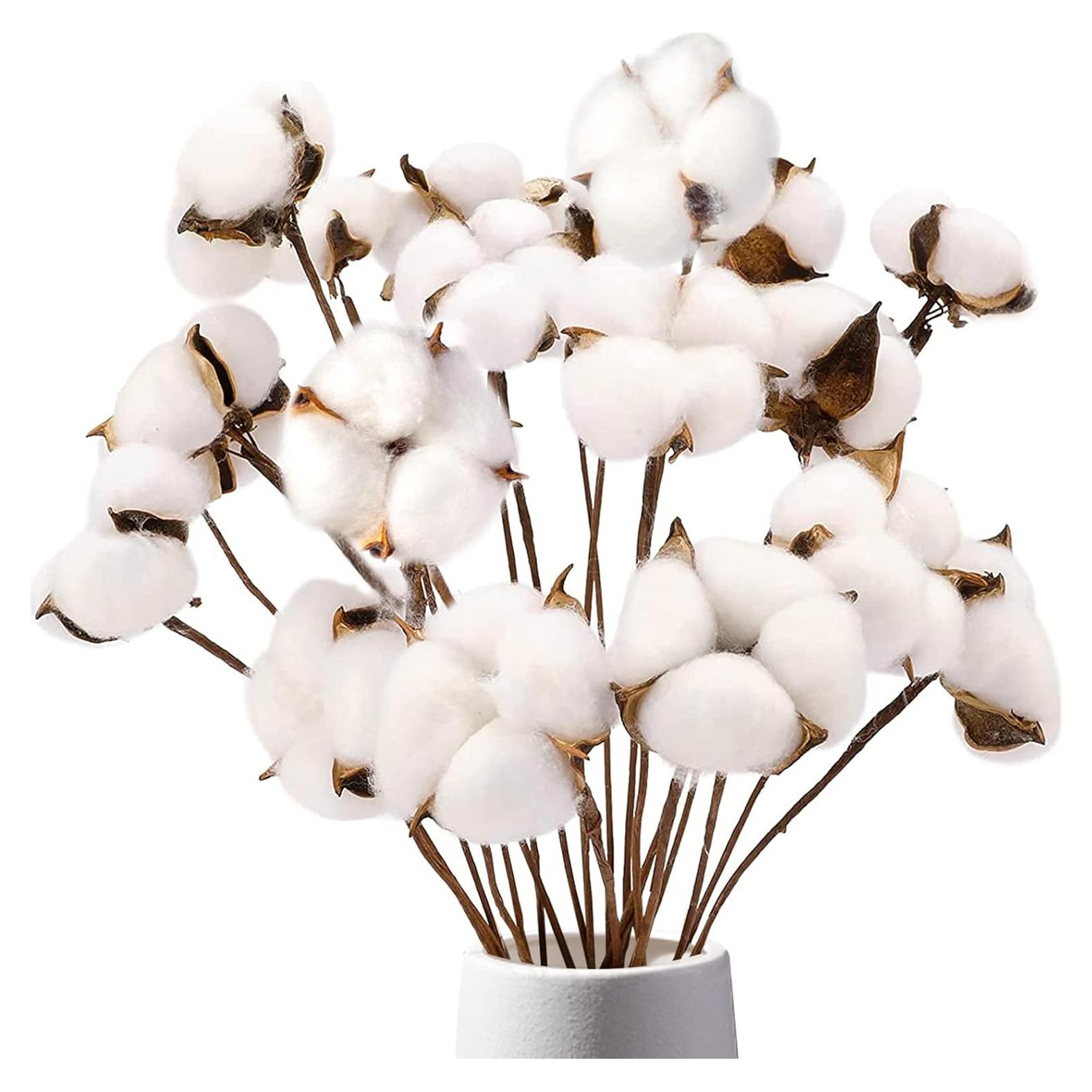 Ramas de Algodón Natural DomeStar - 8 Paquetes para Decoración