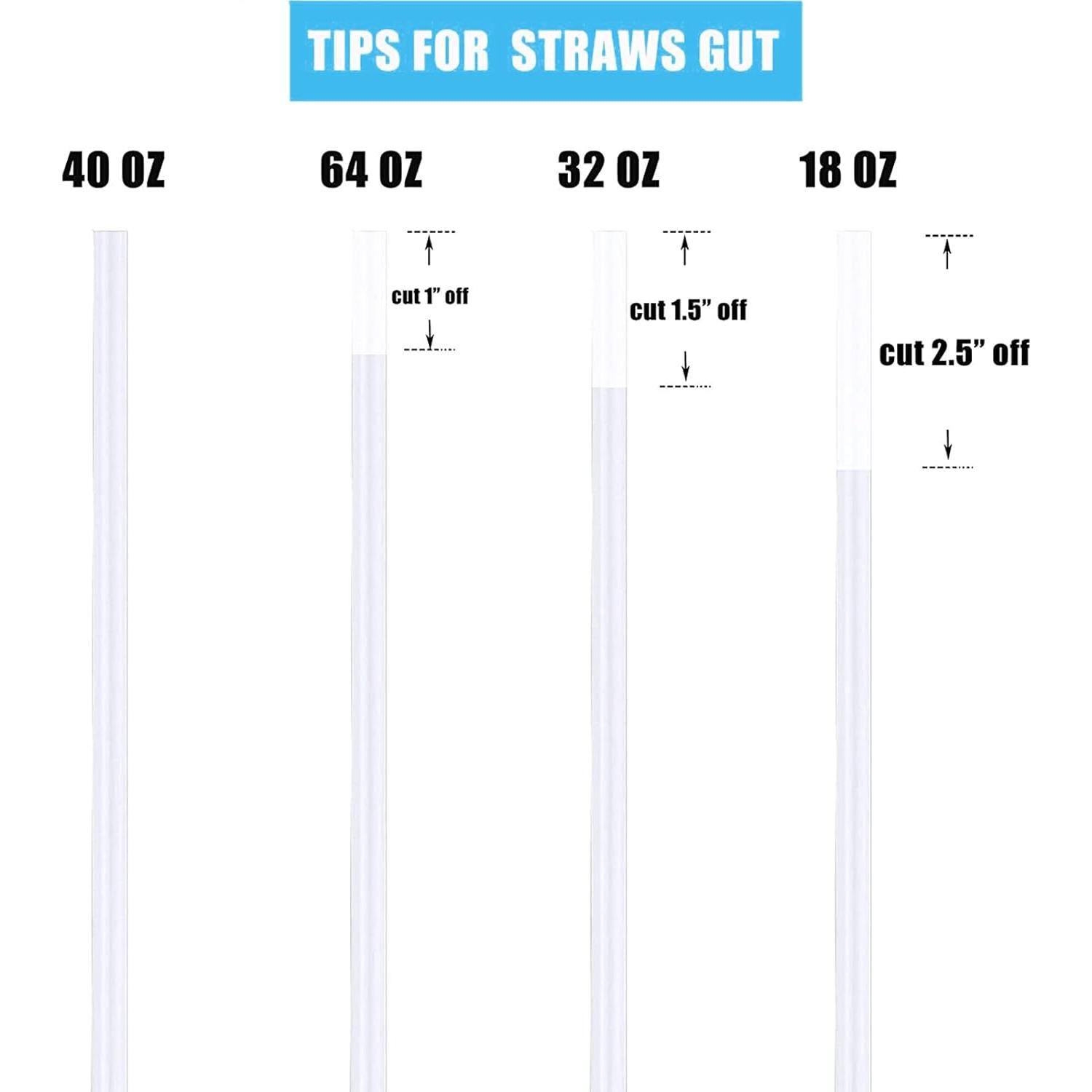 Greant 6 Pajitas Reutilizables para Botellas Hydro Flask 24.89cm