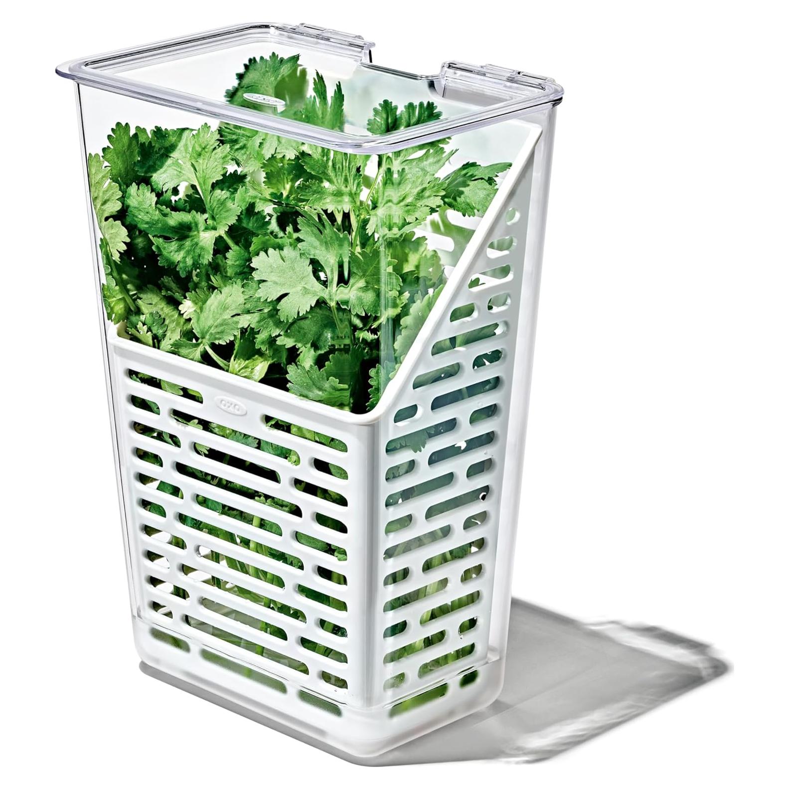 Conservador de Hierbas OXO Good Grips - Libre de BPA 28.7 cm