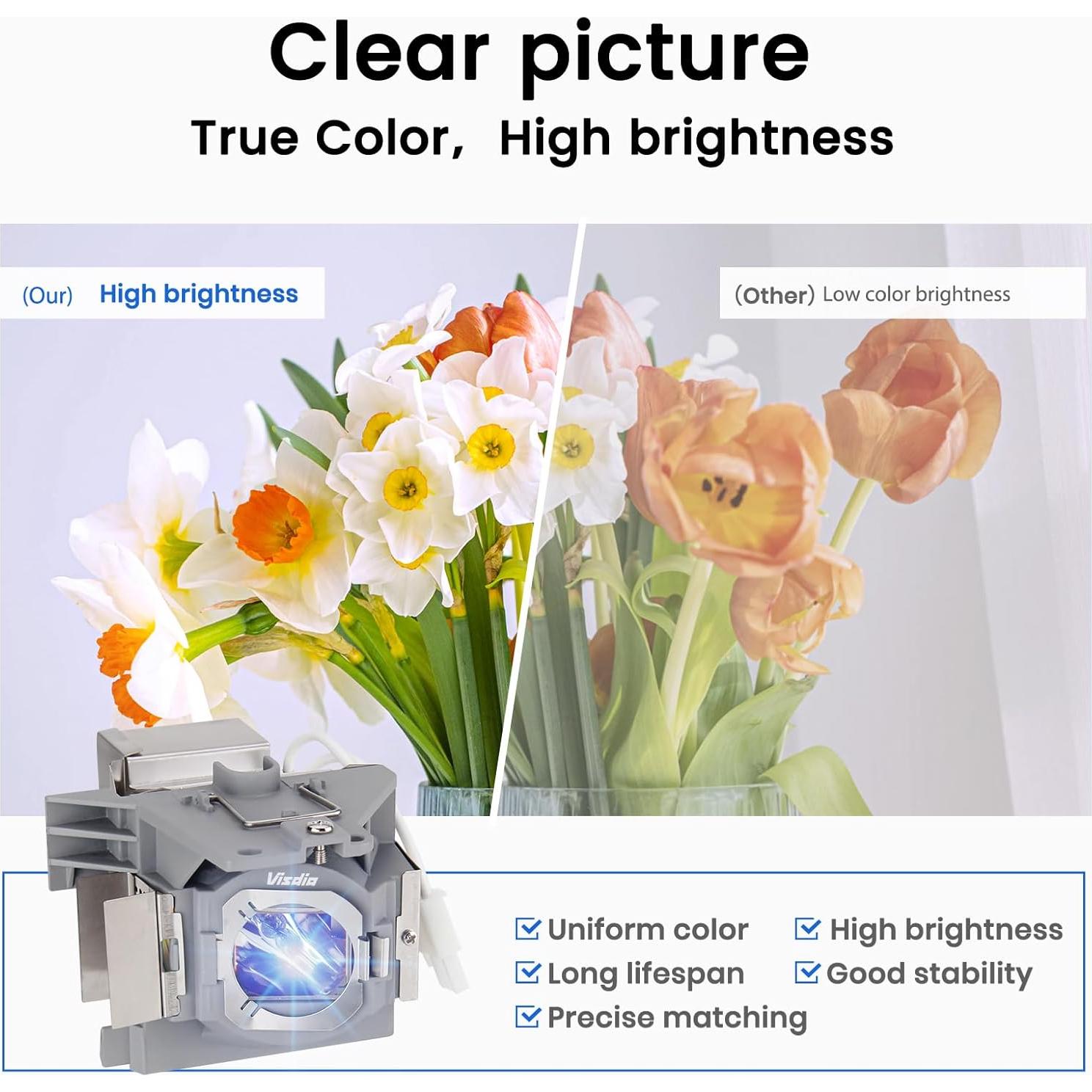 Lámpara de Reemplazo Stanlamp 5J.JEE05.001 para Proyector 240W