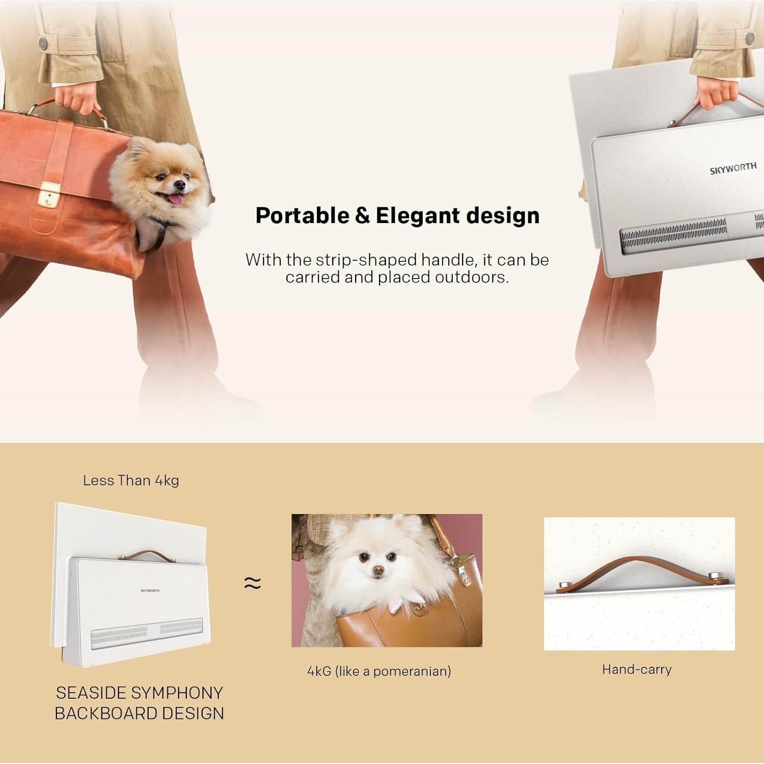 Pantalla Inteligente Portátil Skyworth 24P100 1080P FHD