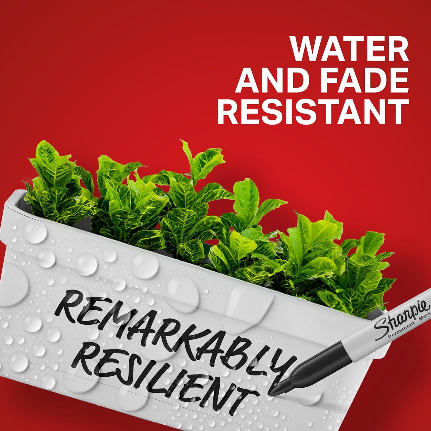 Set de 6 Marcadores Permanentes Sharpie Negro con Puntas Variadas