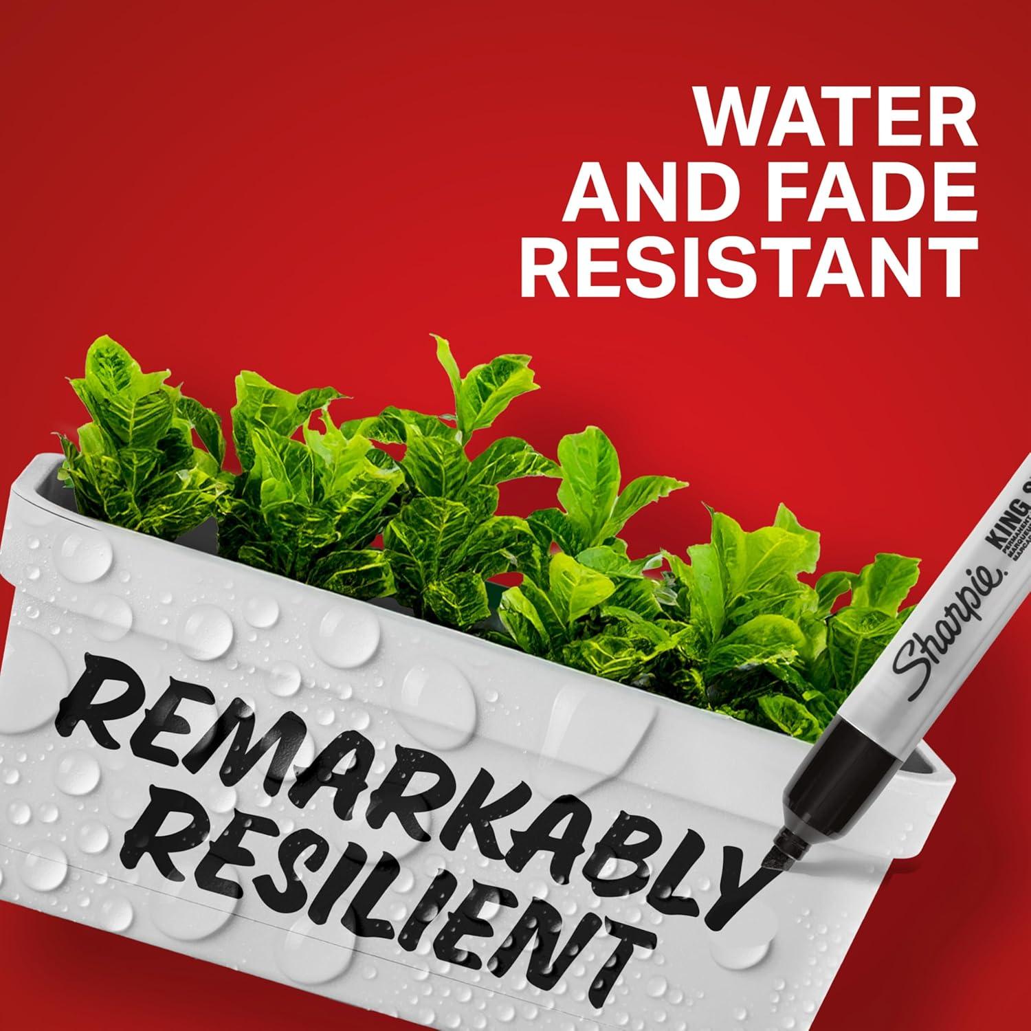 Marcadores Permanentes Sharpie King Size, Punta Chisel, 4 Colores