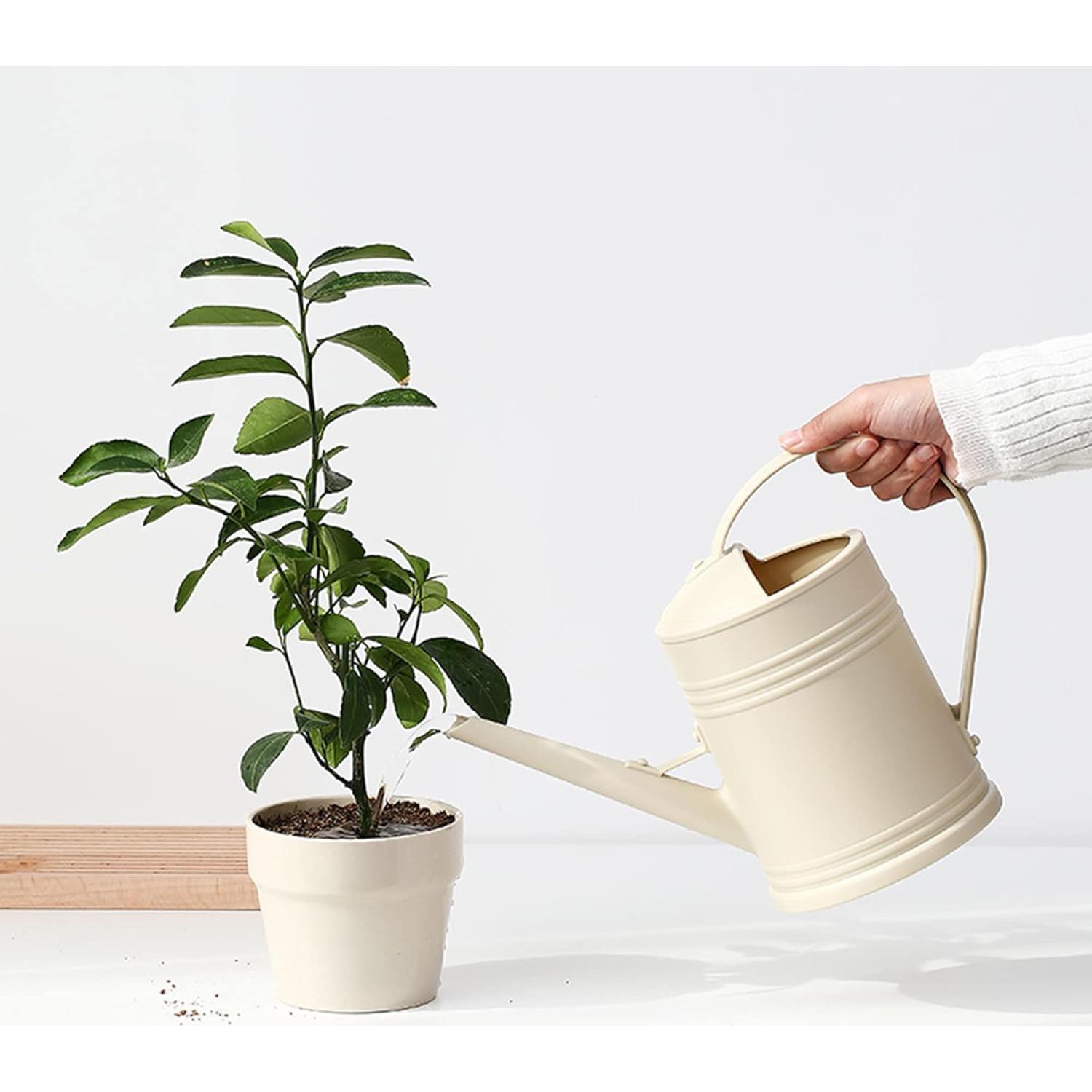 Regadera de Plástico 2L Tennedriv Green para Plantas de Interior