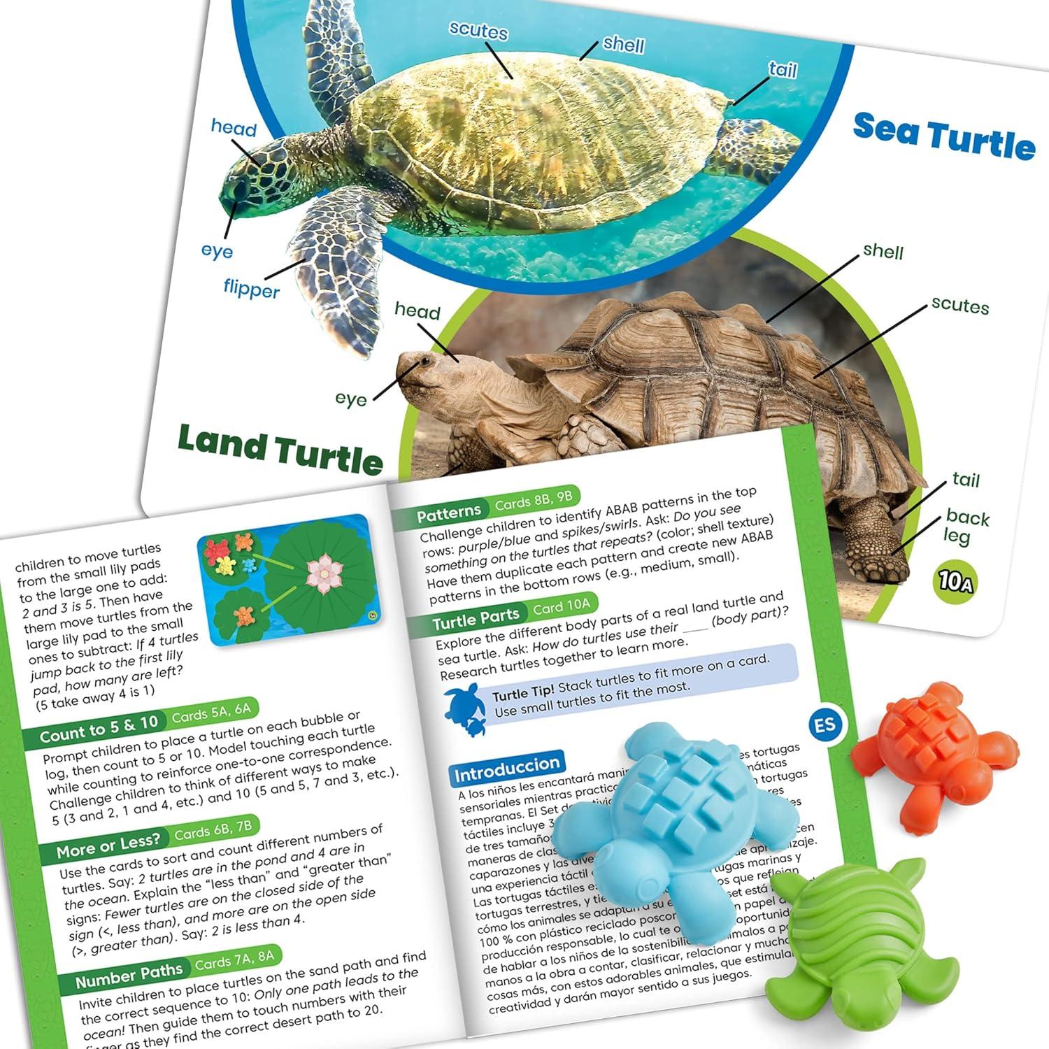 Juego de Actividades Matemáticas Tortugas Táctiles hand2mind