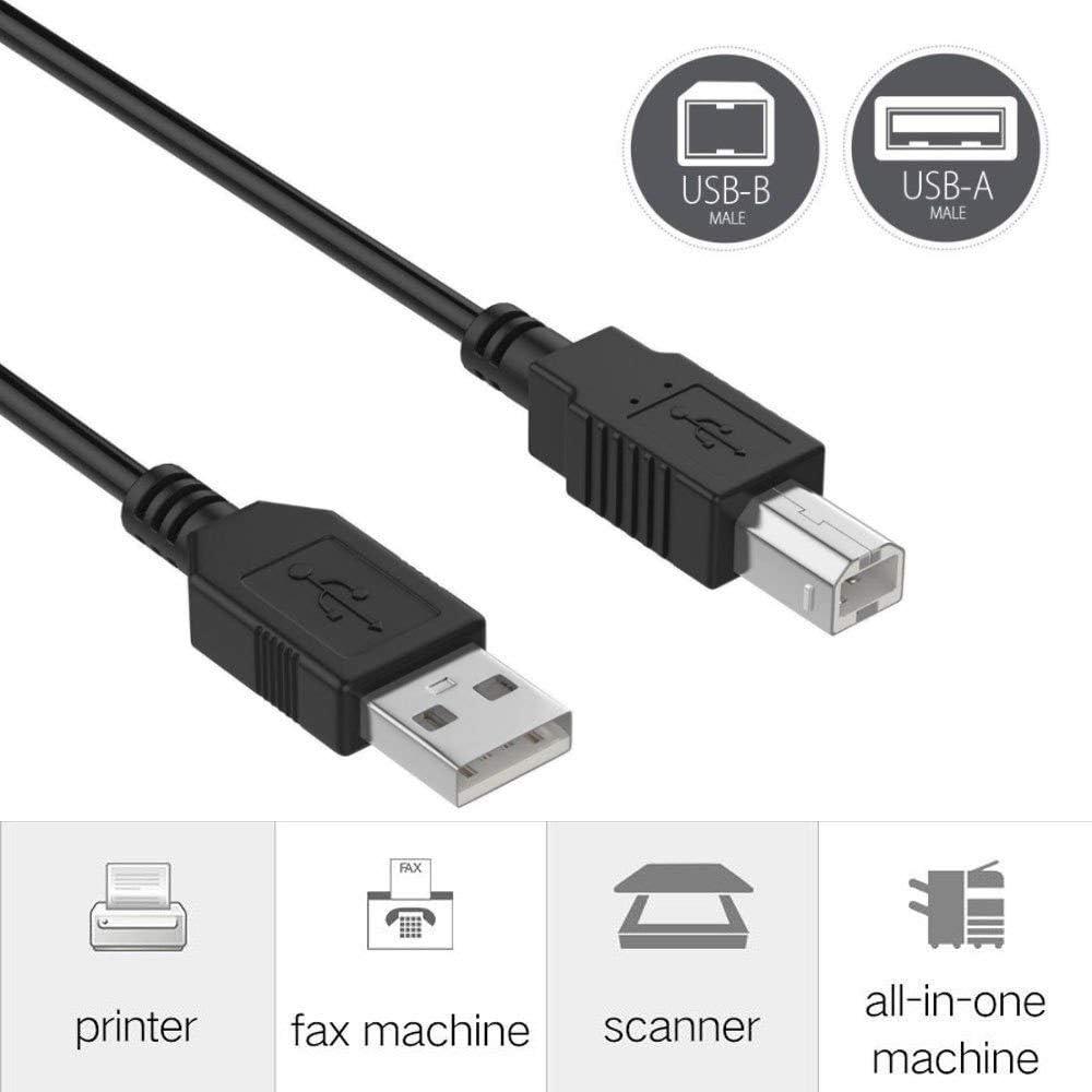 Cable USB 2.0 de 1.83 m SupplySource para M-Audio Axiom Air