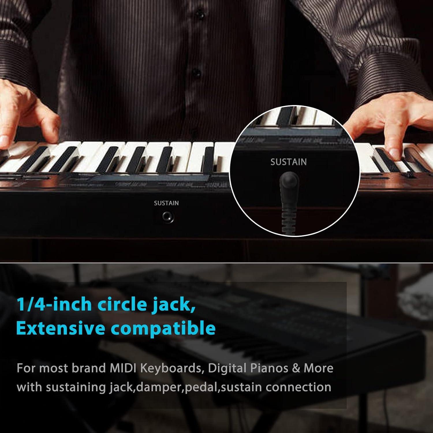 Pedal de Sostenido FZONE SP-1 para Teclados MIDI Universal