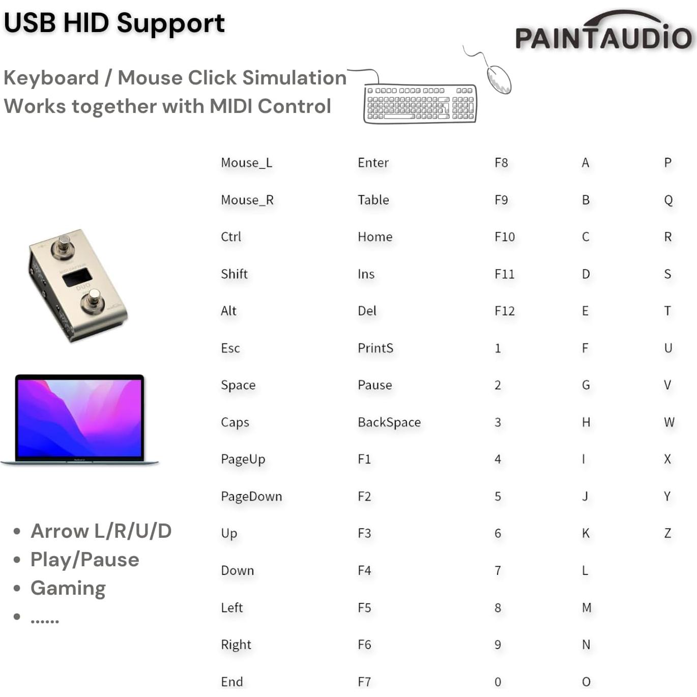 Controlador de pie MIDI Paint Audio Captain DUO USB-MIDI