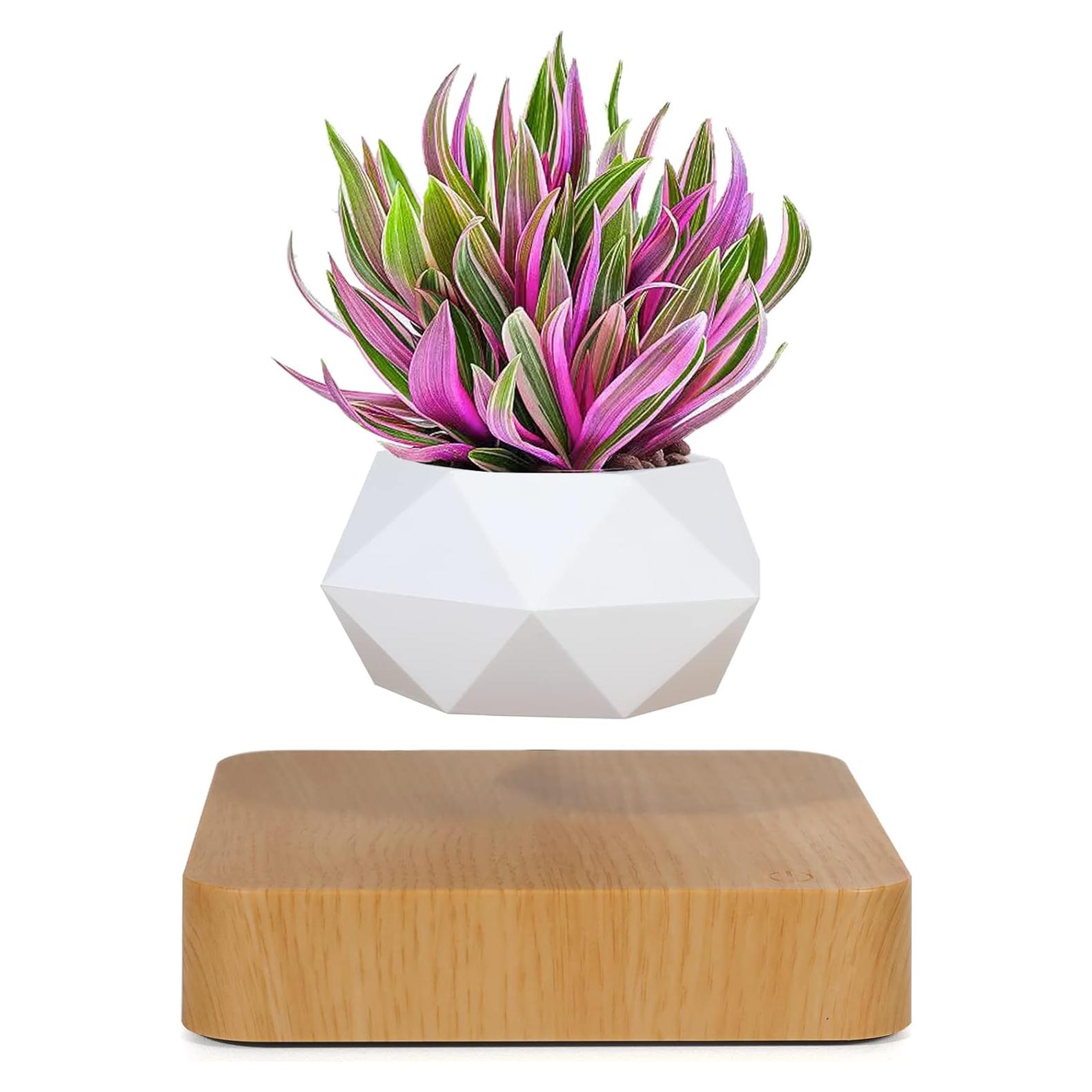 Maceta Bonsai Flotante Babook Cuadrada 9cm Color Claro