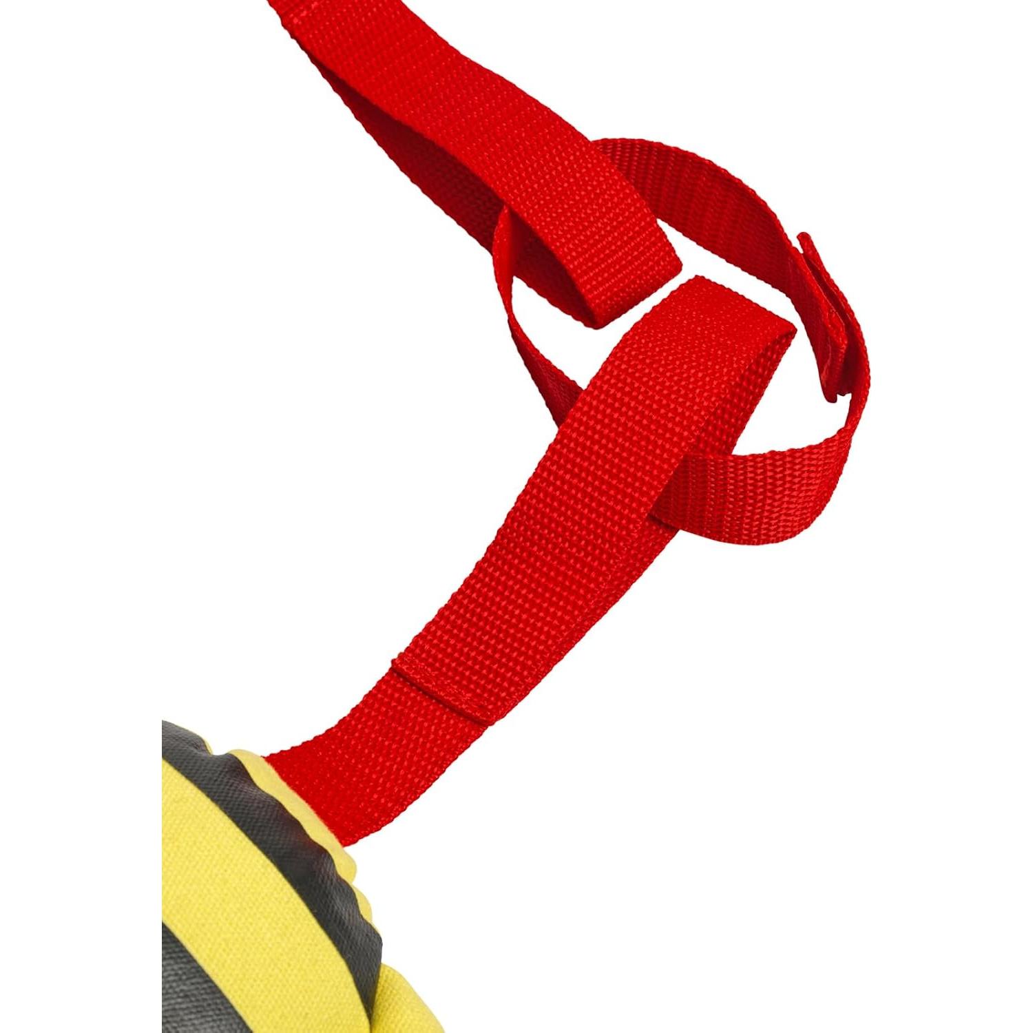 Cuerda de Paseo Busy Bee Excellerations 2.44m para Niños