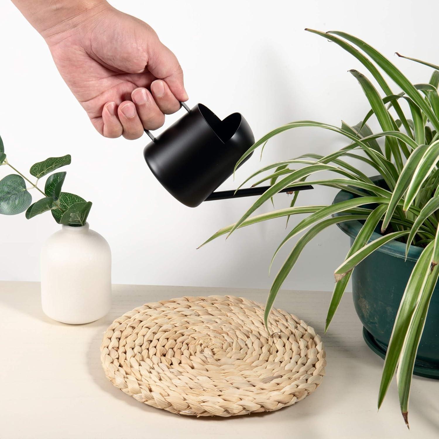 Regadera Mini IMEEA Acero Inoxidable 300ml Bonsáis