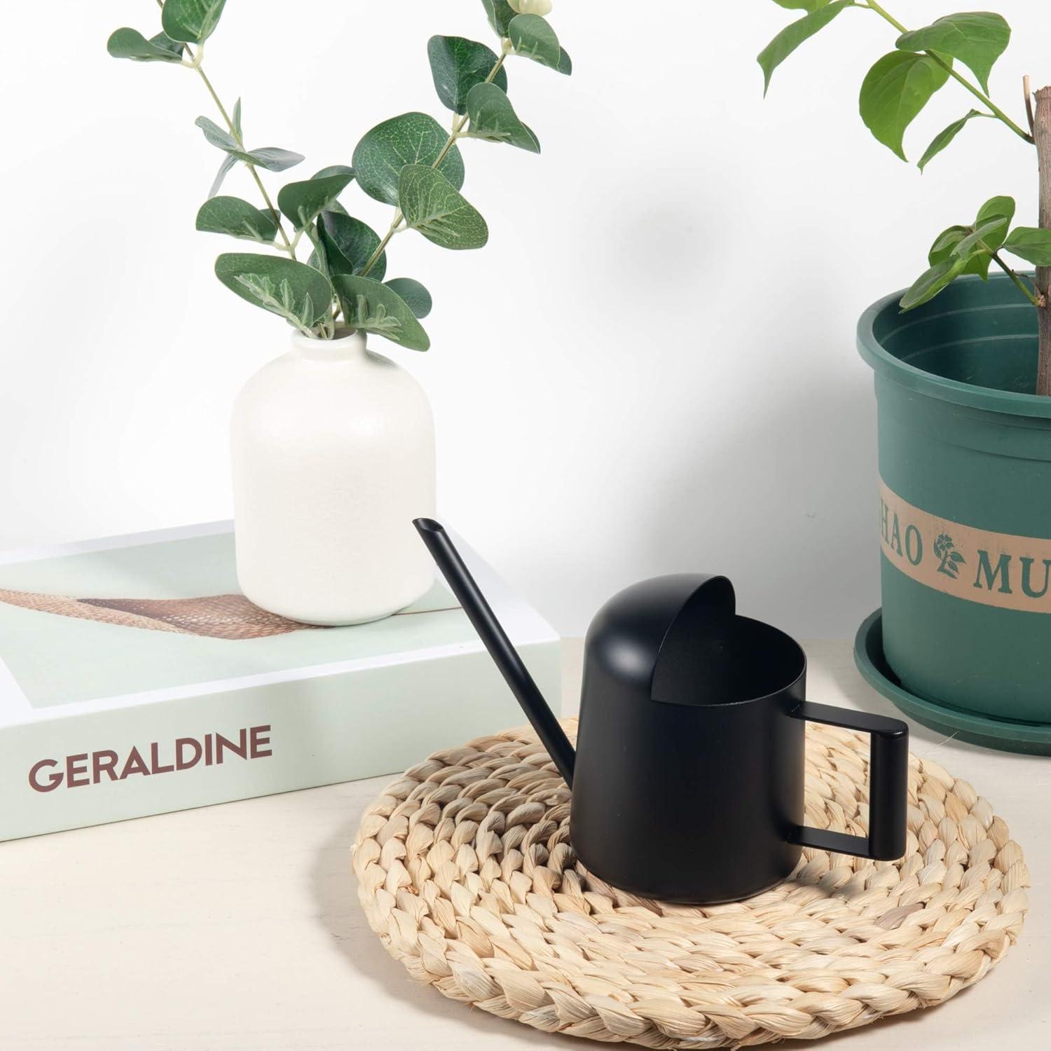 Regadera Mini IMEEA Acero Inoxidable 300ml Bonsáis