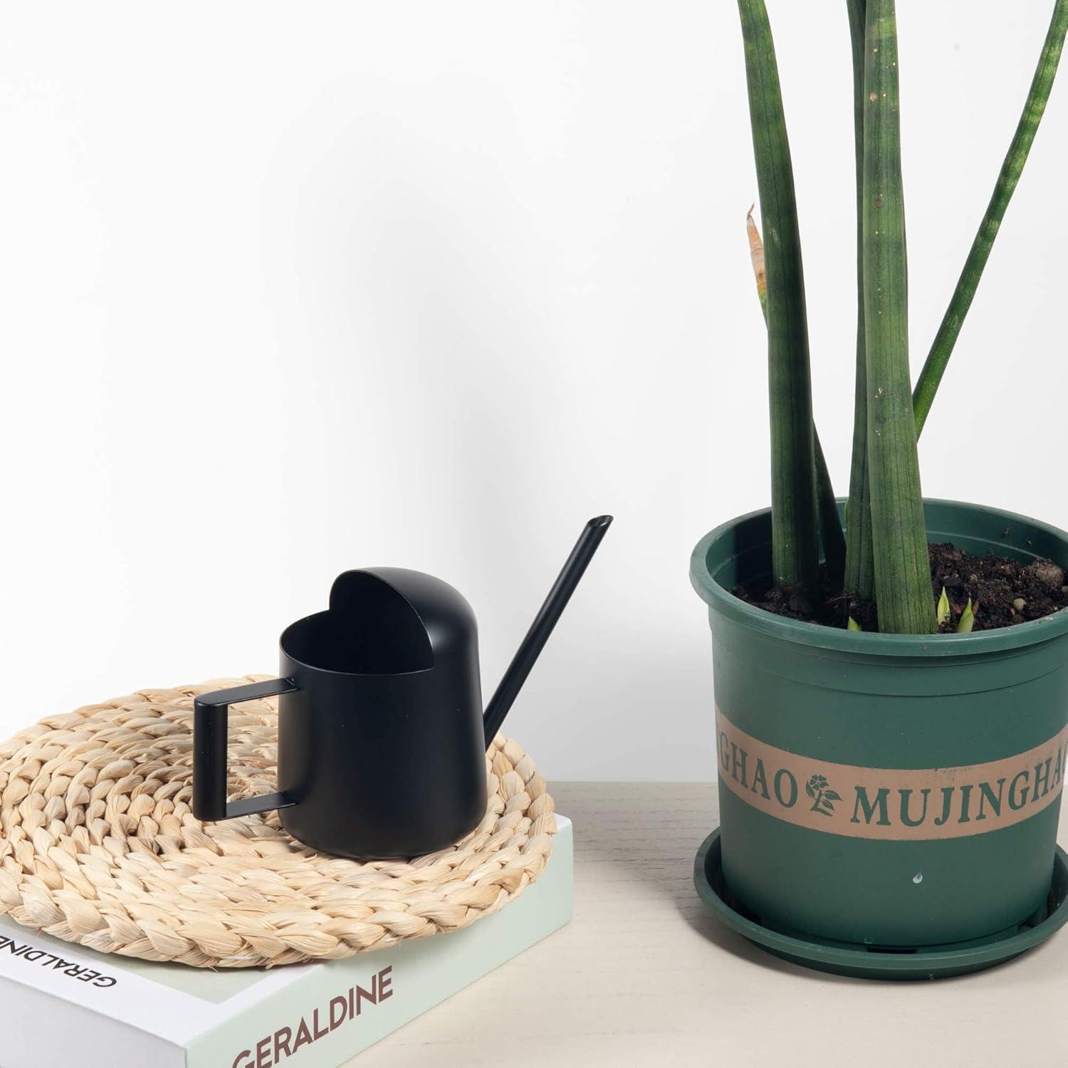 Regadera Mini IMEEA Acero Inoxidable 300ml Bonsáis