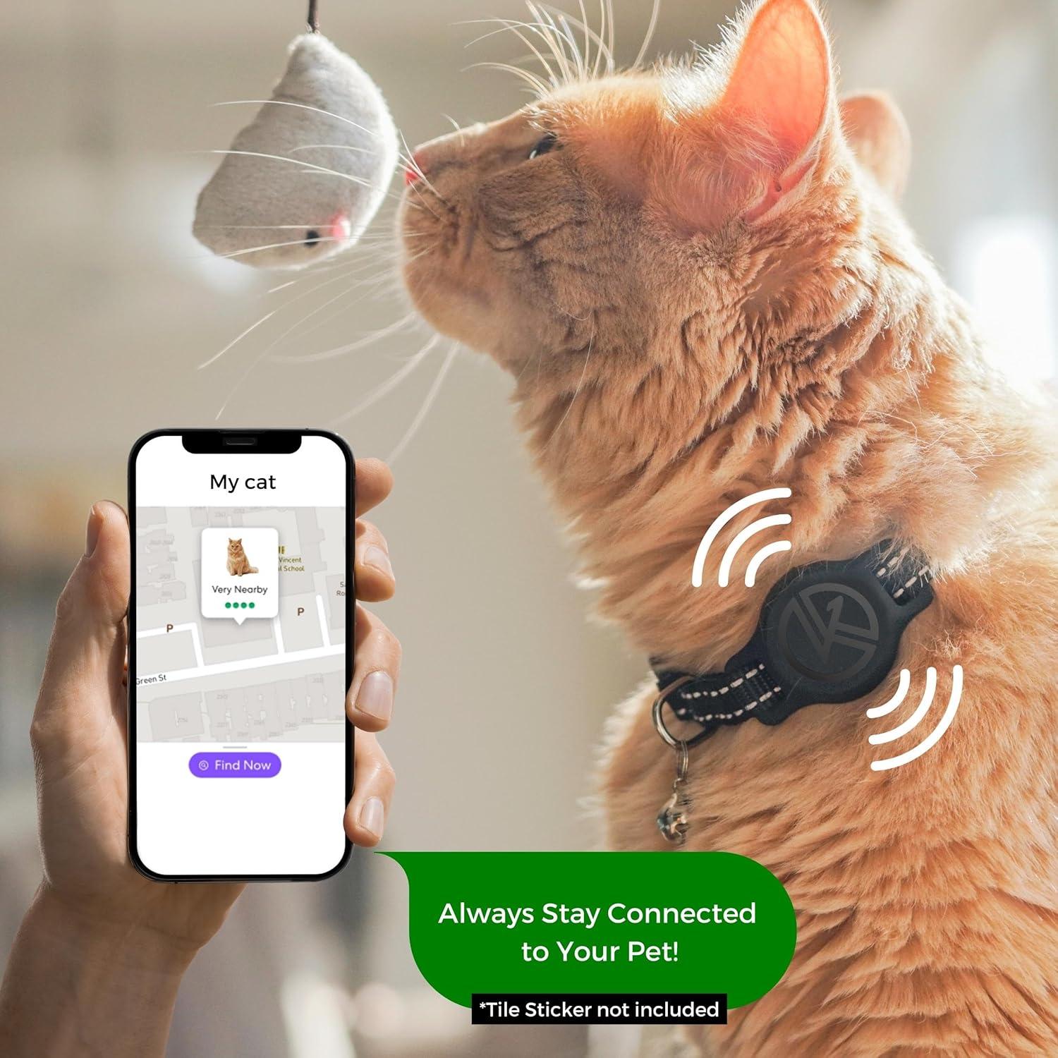 Collar para Gato Kitty Kompass Negro - Soporte Etiqueta Azulejo 2024