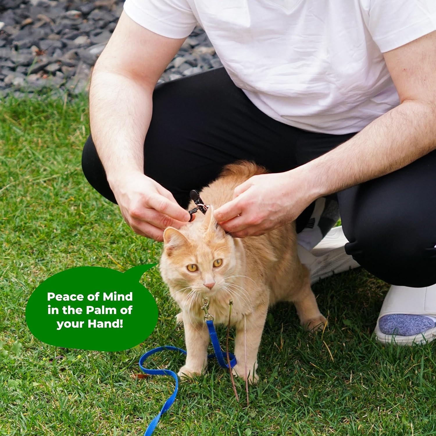 Collar para Gato Kitty Kompass Negro - Soporte Etiqueta Azulejo 2024