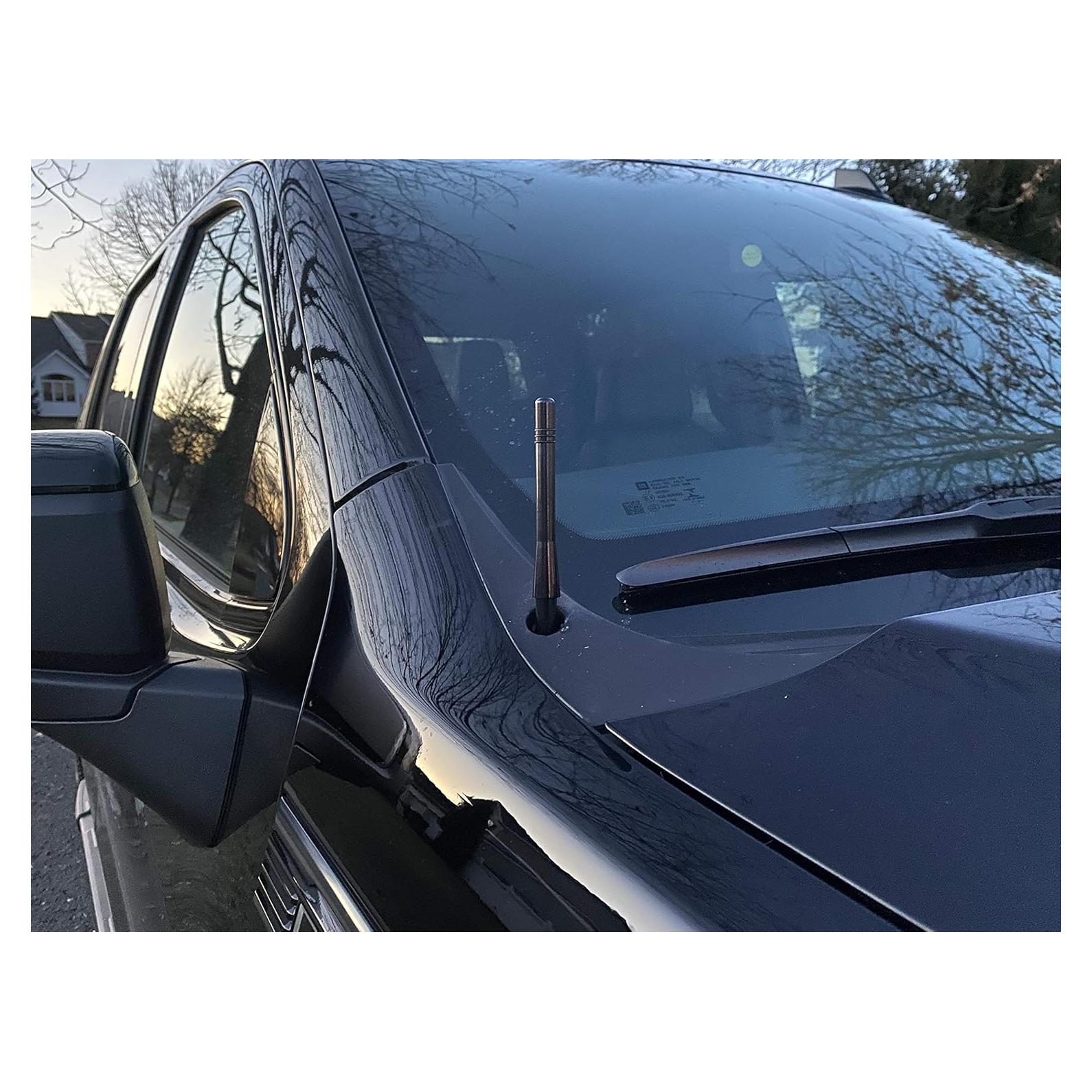 Antena de 10 cm para Autos y Camiones GM Trunknets